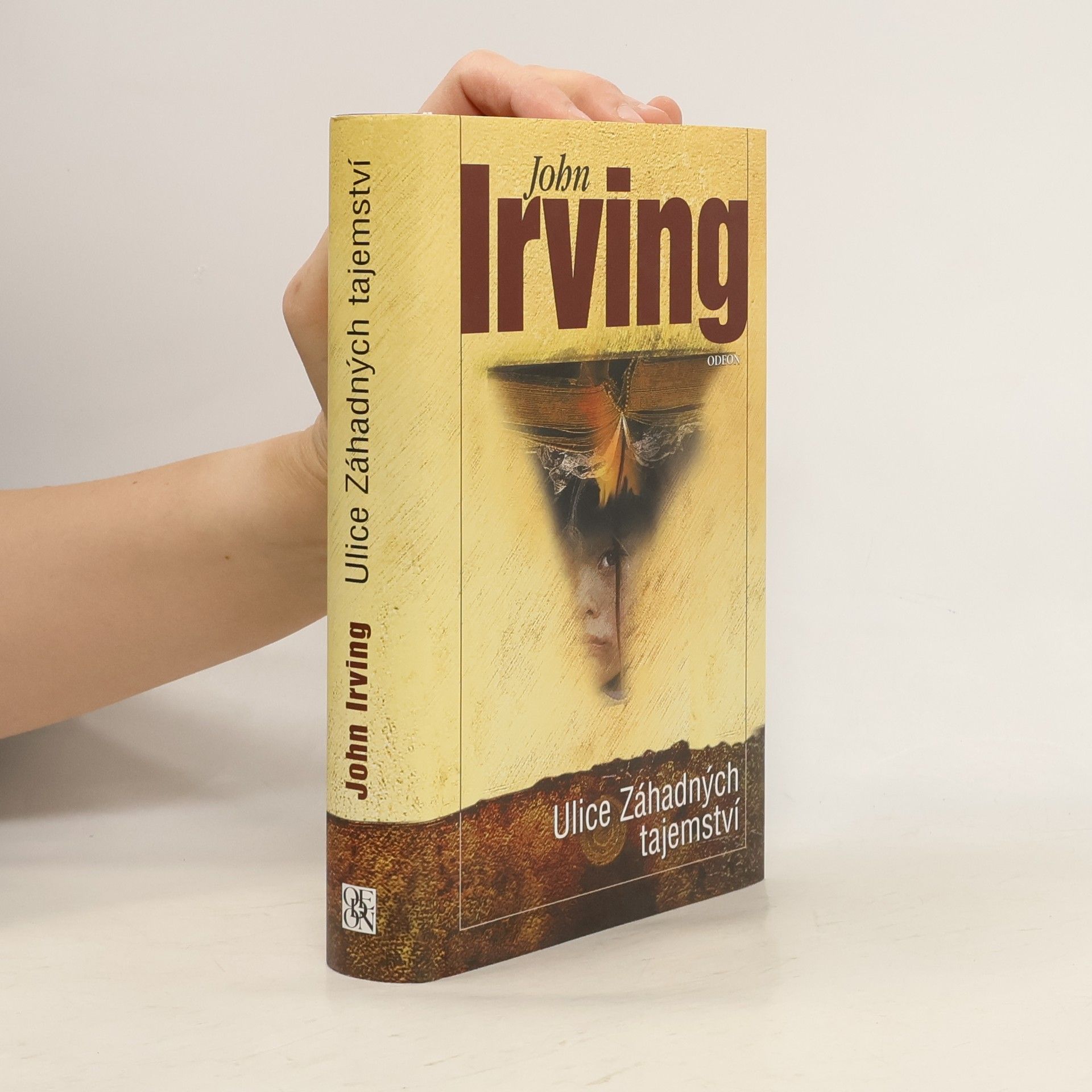 John Irving Ulice Záhadných tajemství