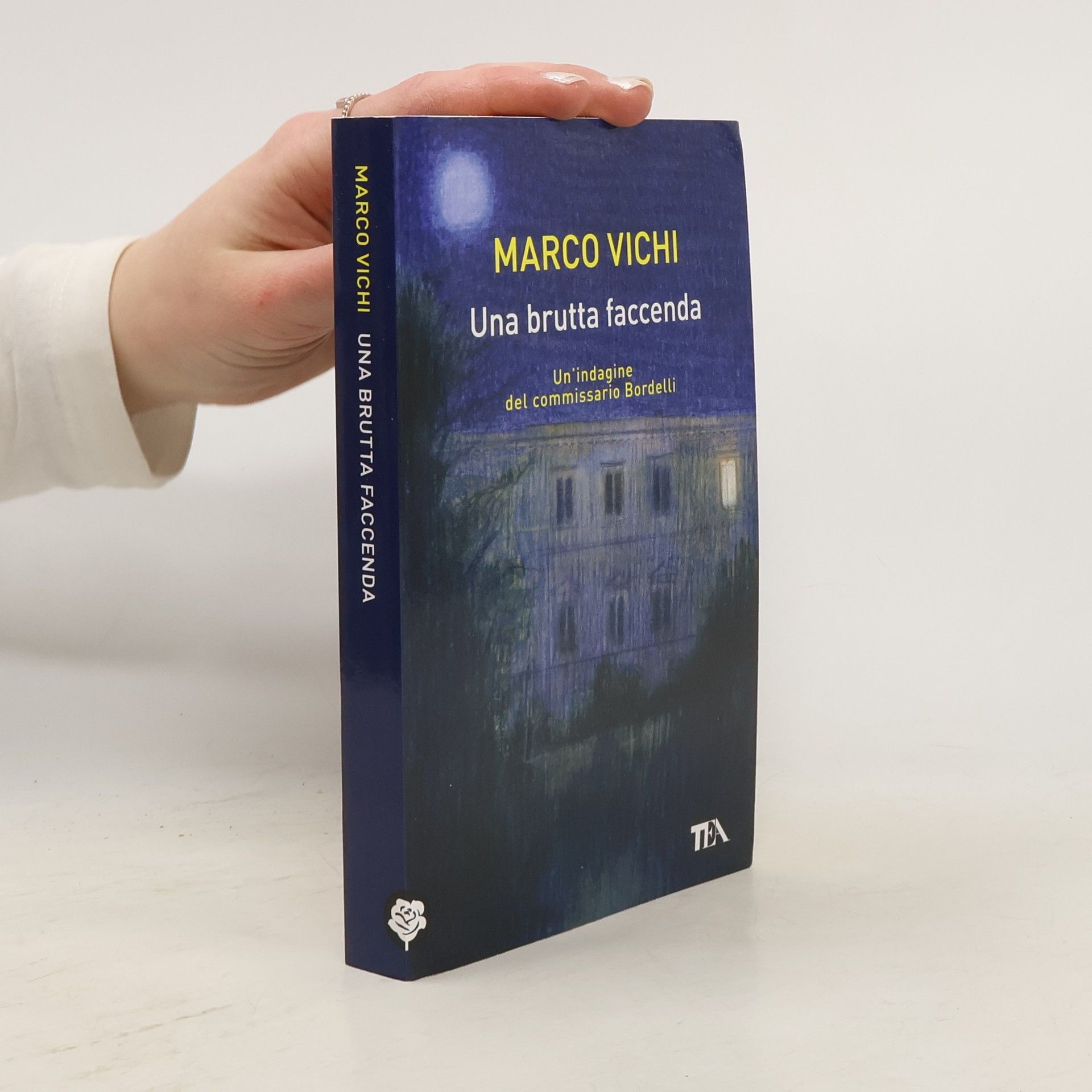 Marco Vichi Una brutta faccenda