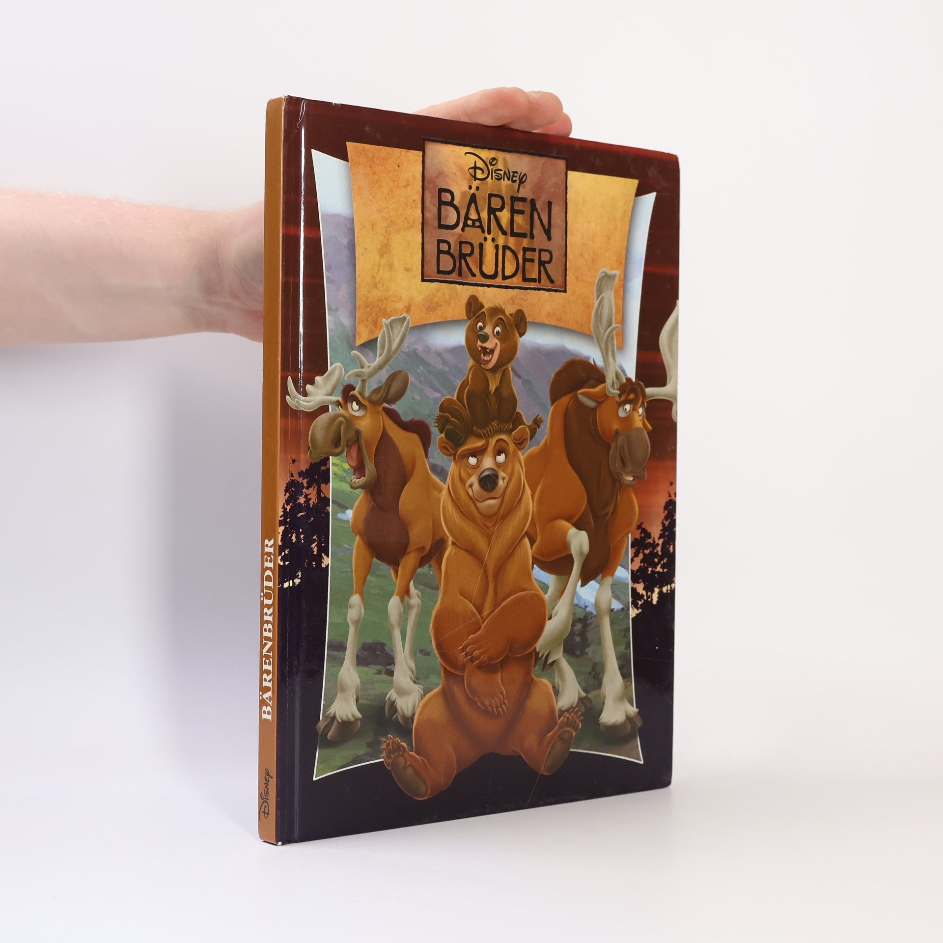 Autorenkollektiv Bären Brüder