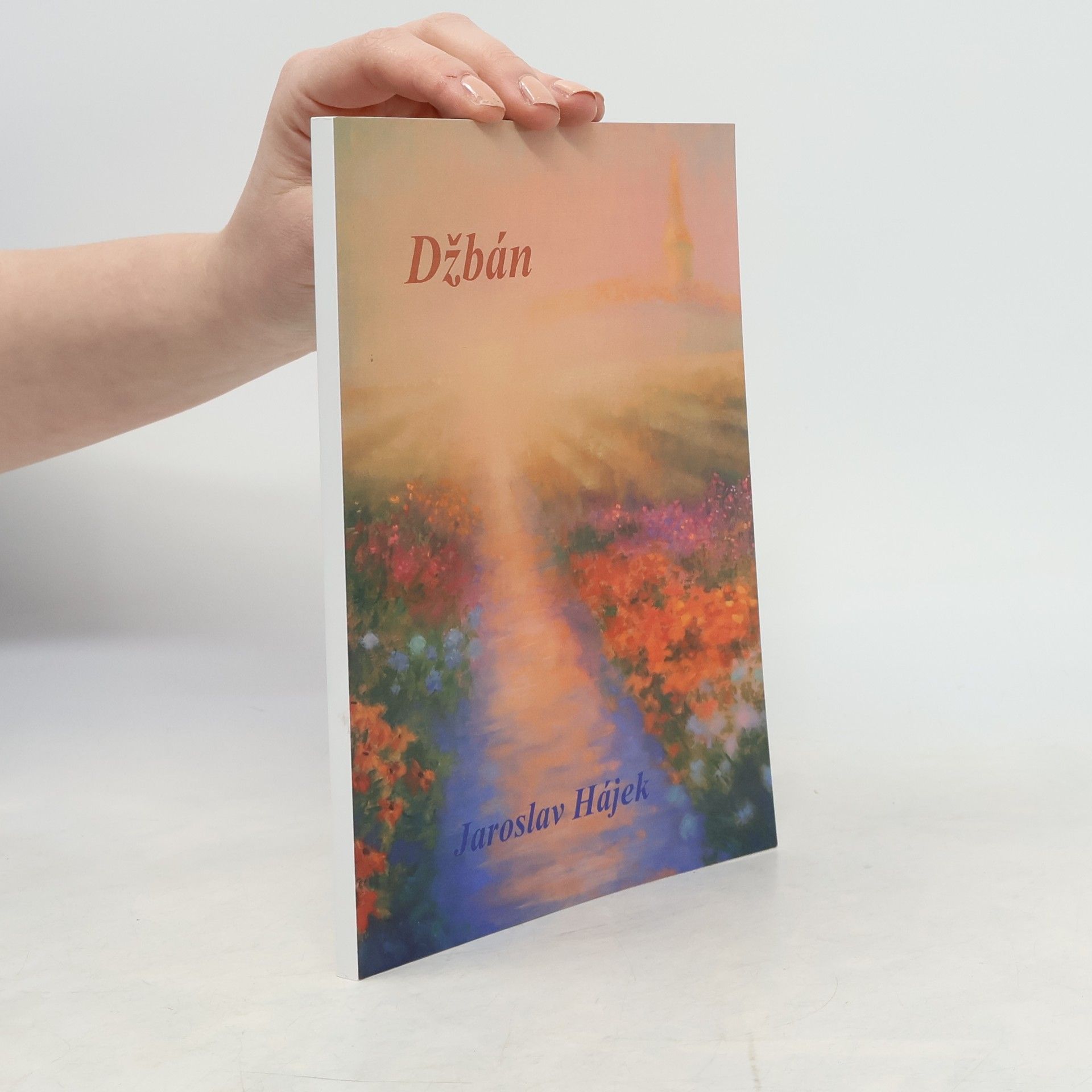 Jaroslav Hájek Džbán