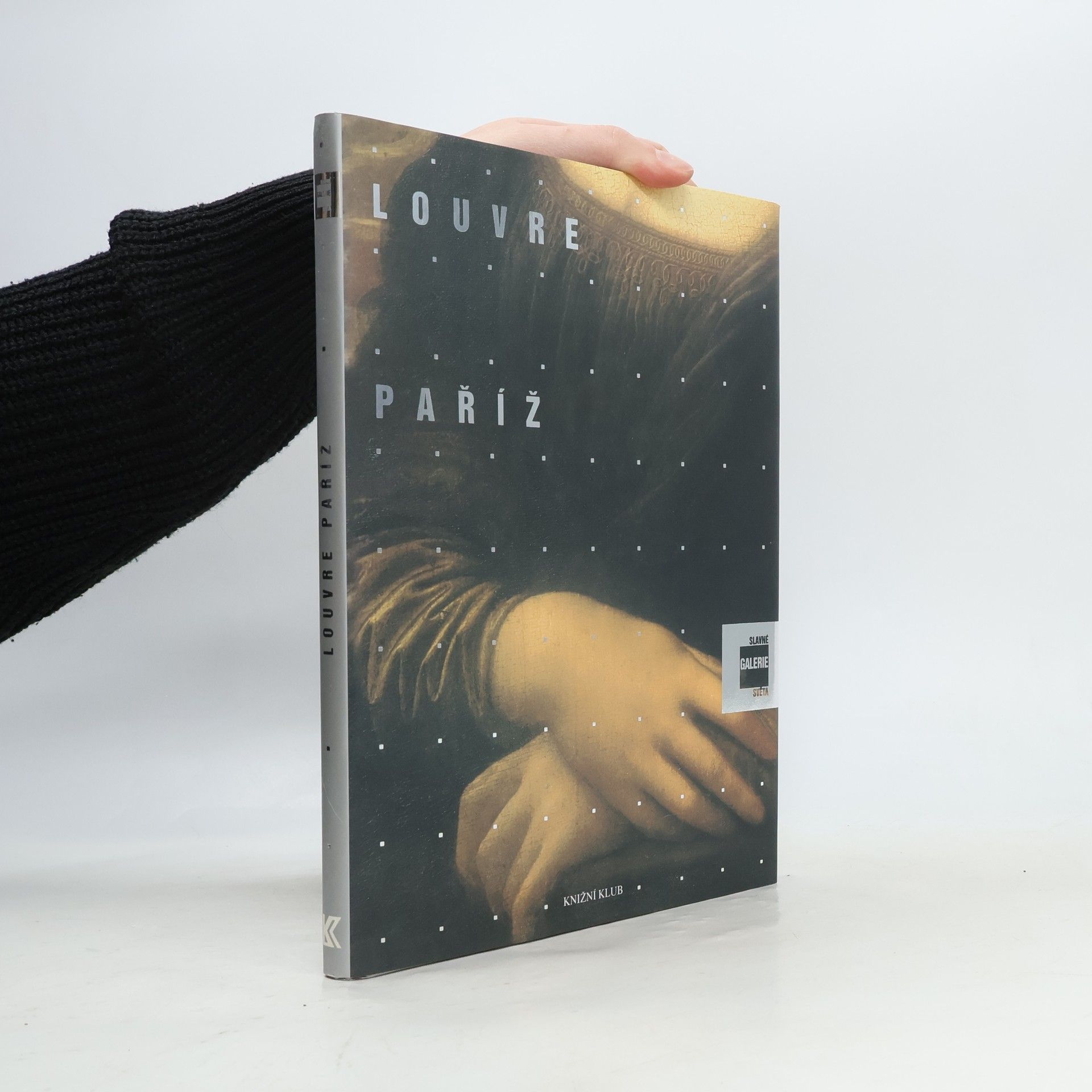 Alessandra Fregolent Slavné galerie světa. Louvre - Paříž