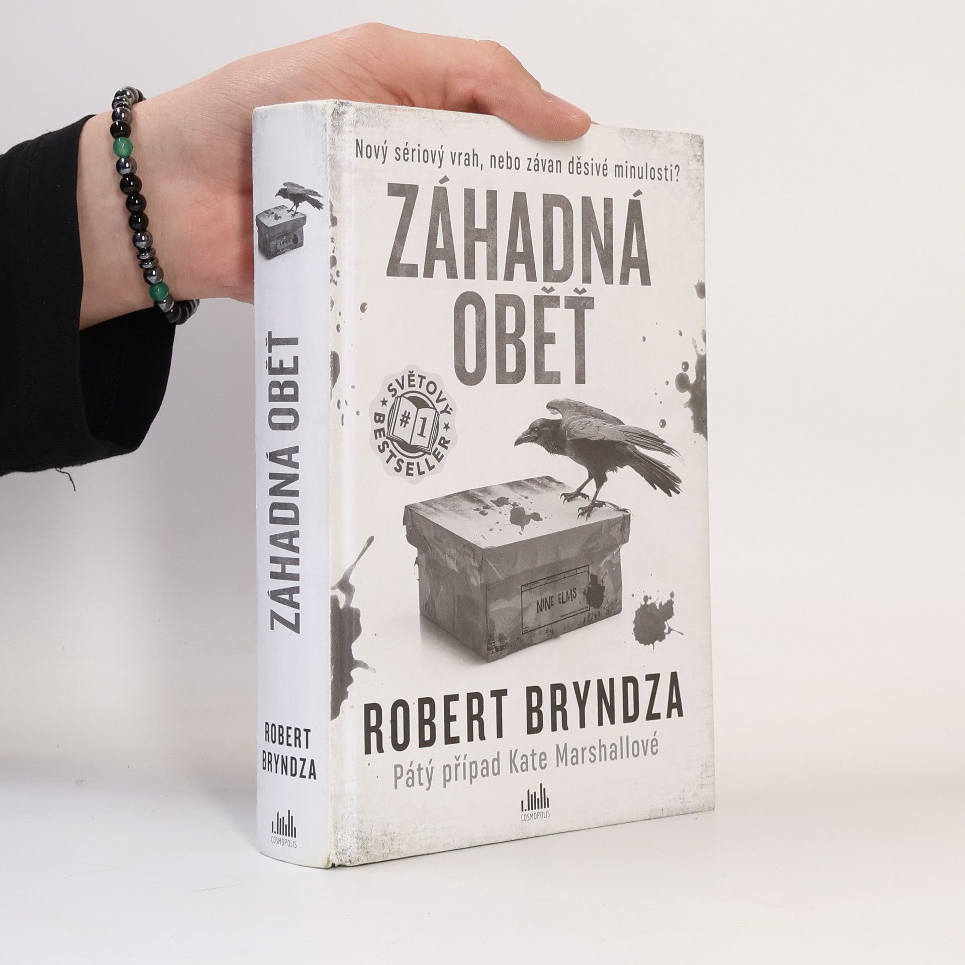 Robert Bryndza Záhadná oběť