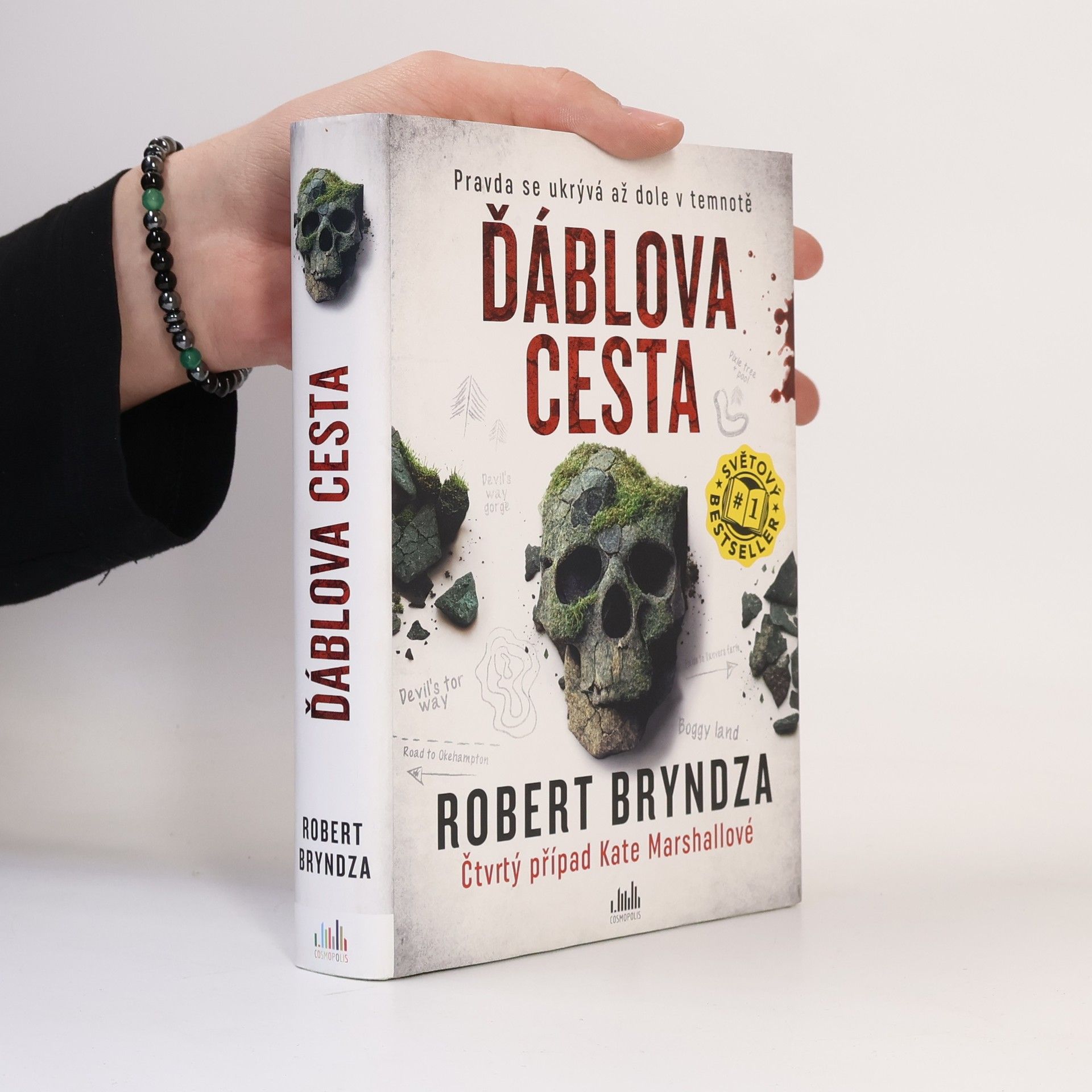 Robert Bryndza Ďáblova cesta