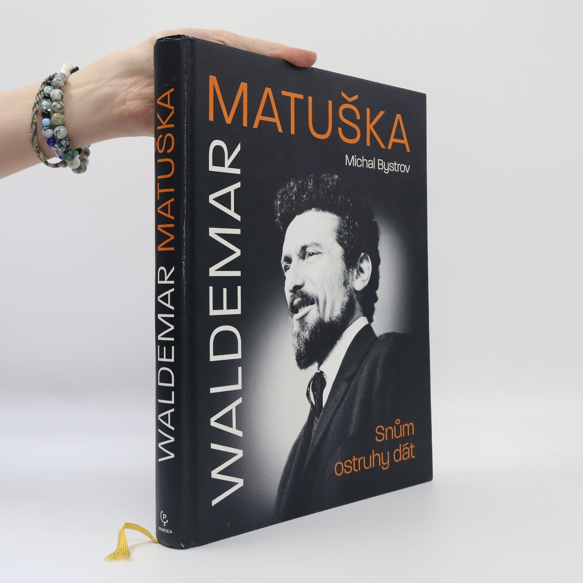 Michal Bystrov Waldemar Matuška