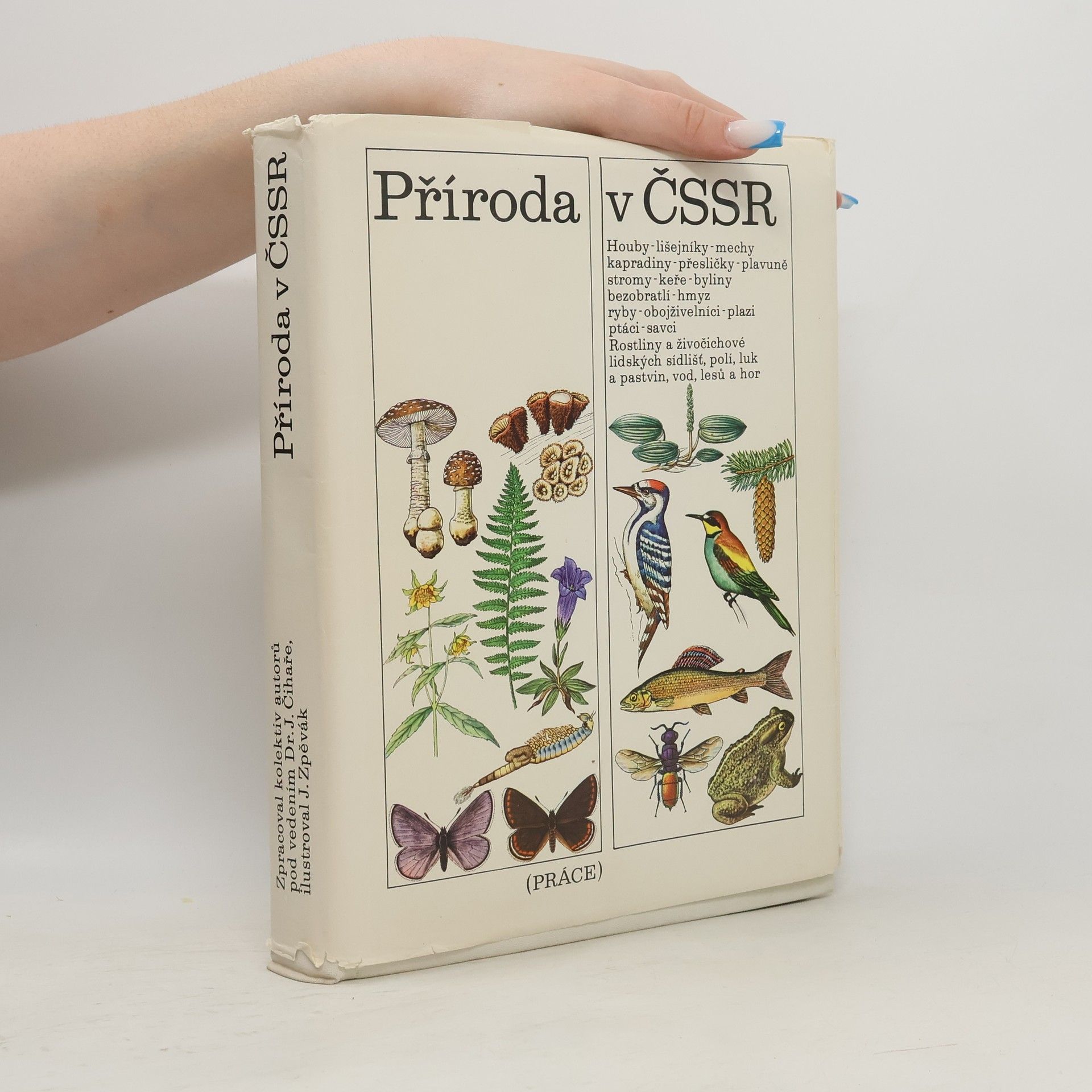 Various authors Příroda v ČSSR