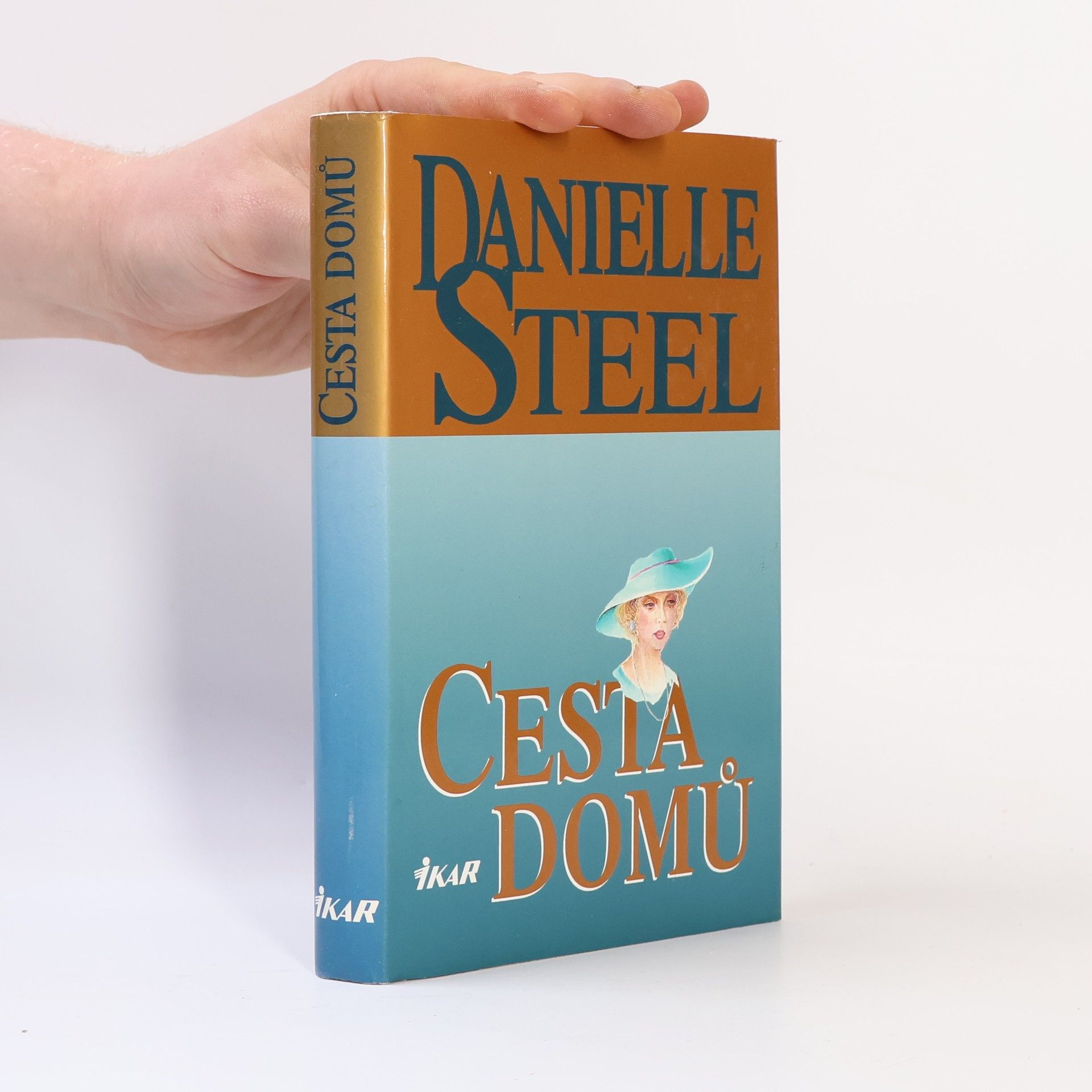 Danielle Steel Cesta domů