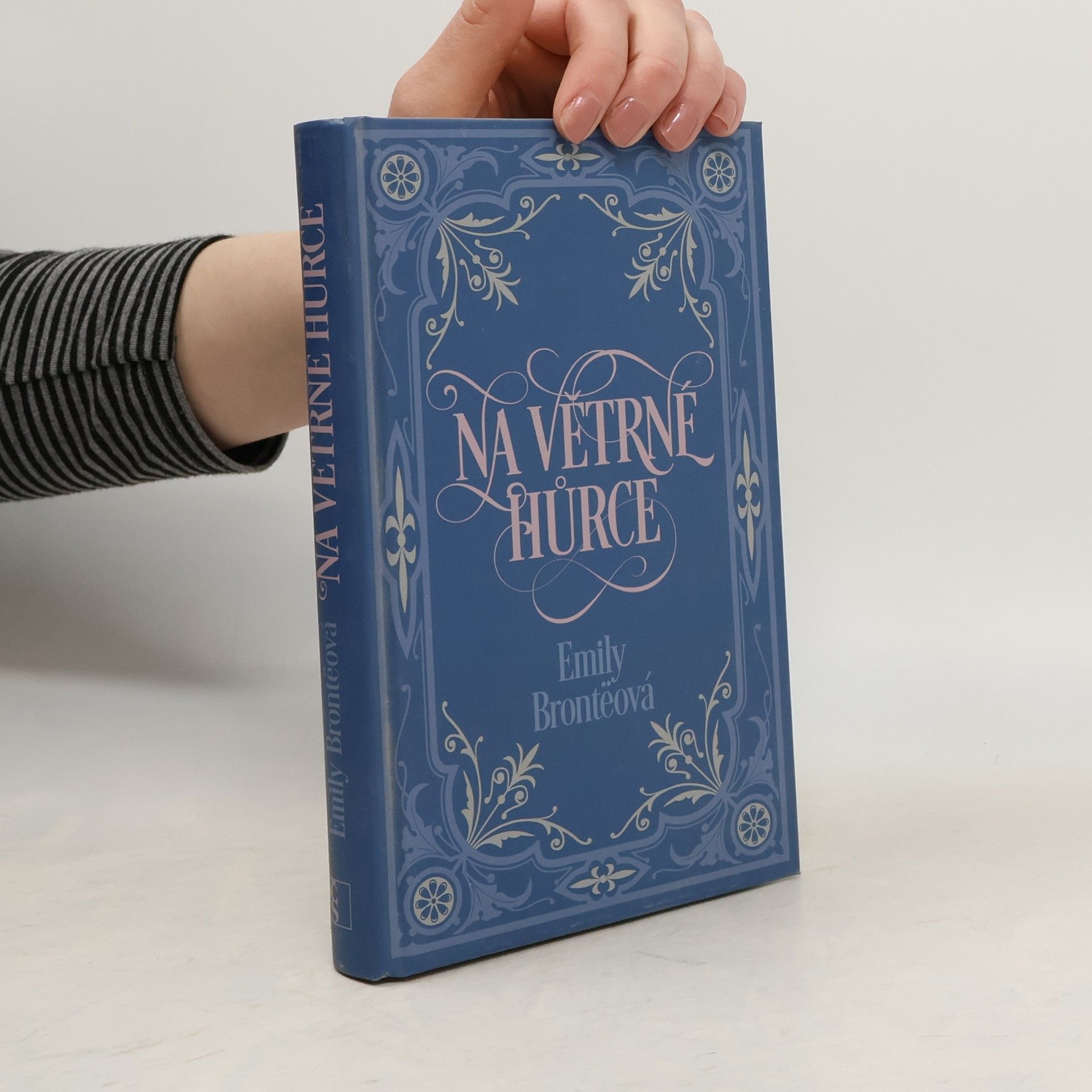 Emily Brontë Na větrné hůrce