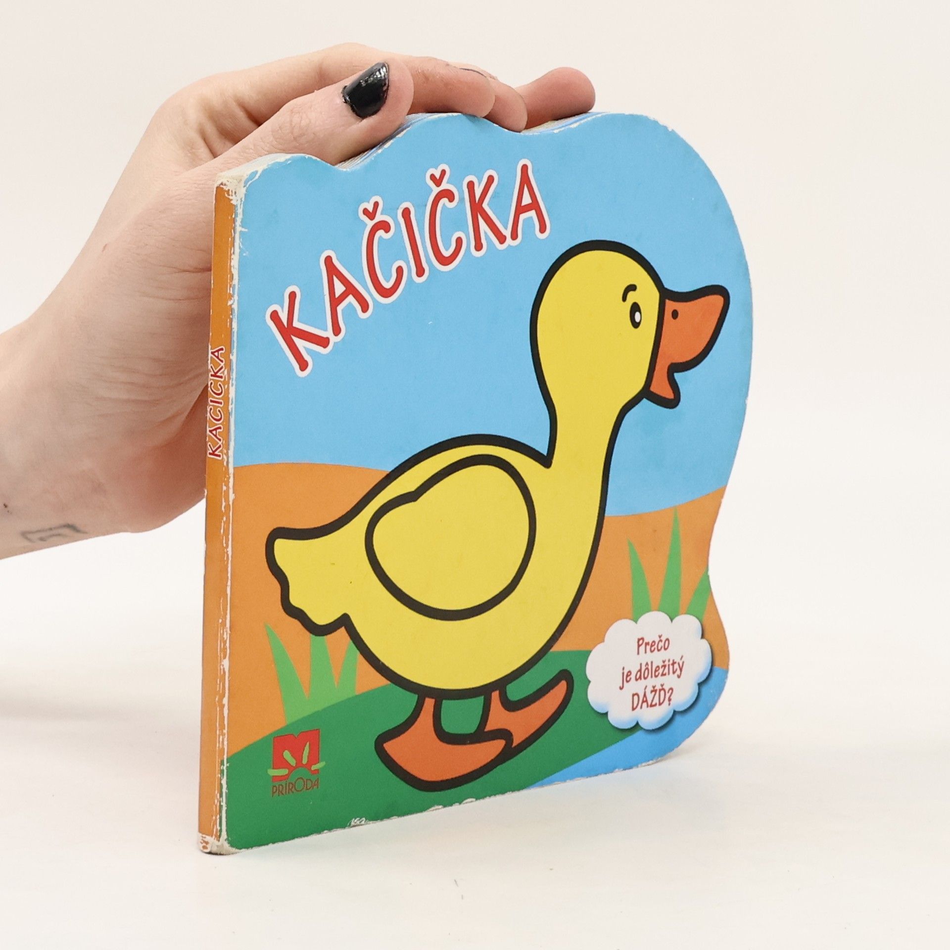 Autores varios Kačička