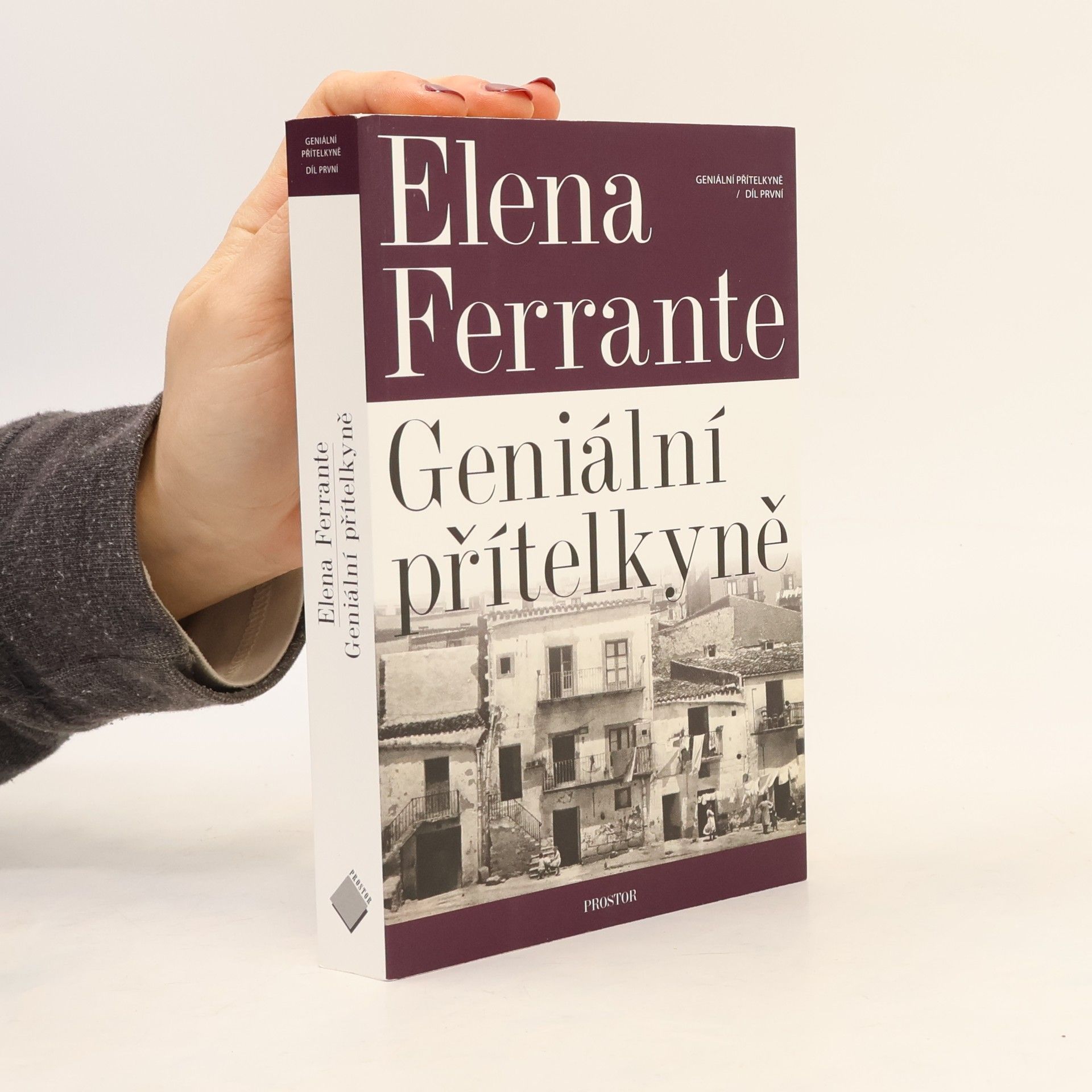 Elena Ferrante Geniální přítelkyně 1. Dětství a dospívání