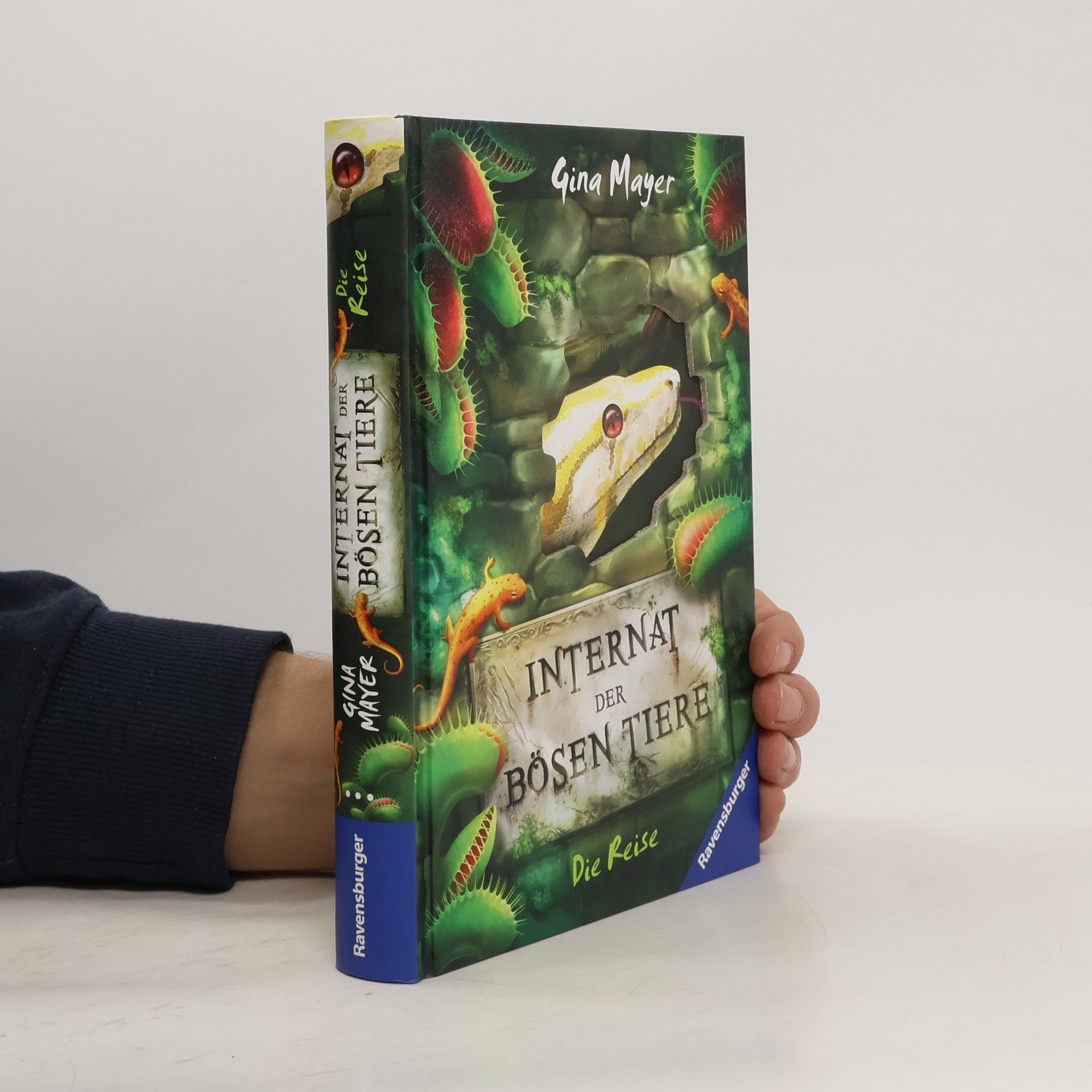 Gina Mayer Internat der bösen Tiere, Band 3: Die Reise