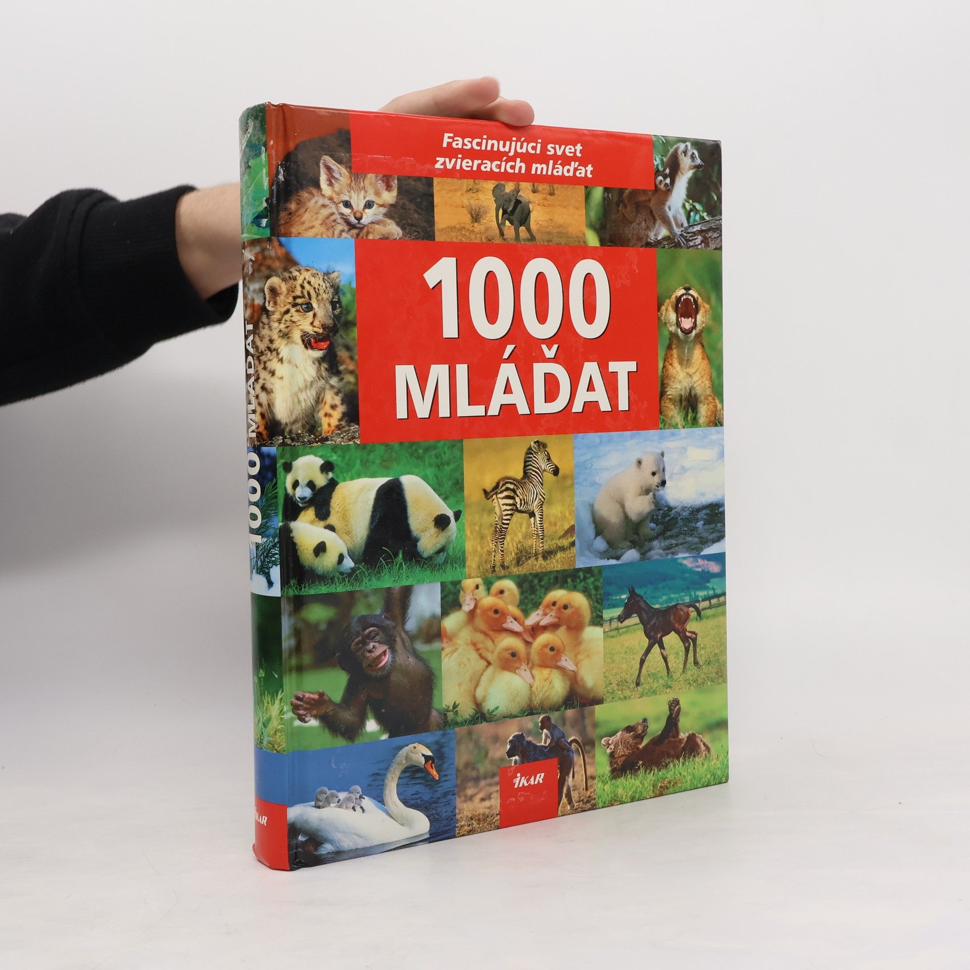 Ulrike Schöber 1000 mláďat