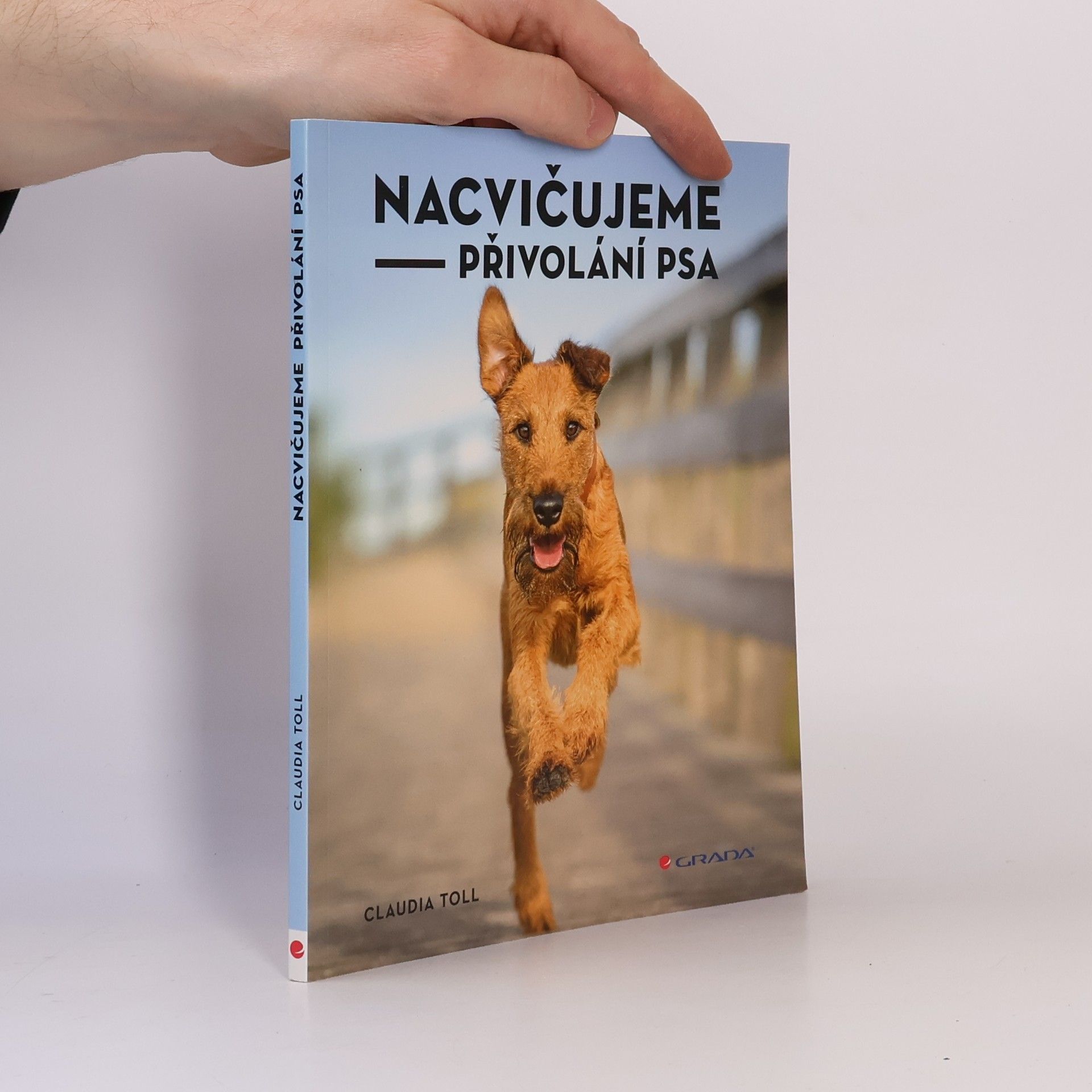 Nacvičujeme přivolání psa