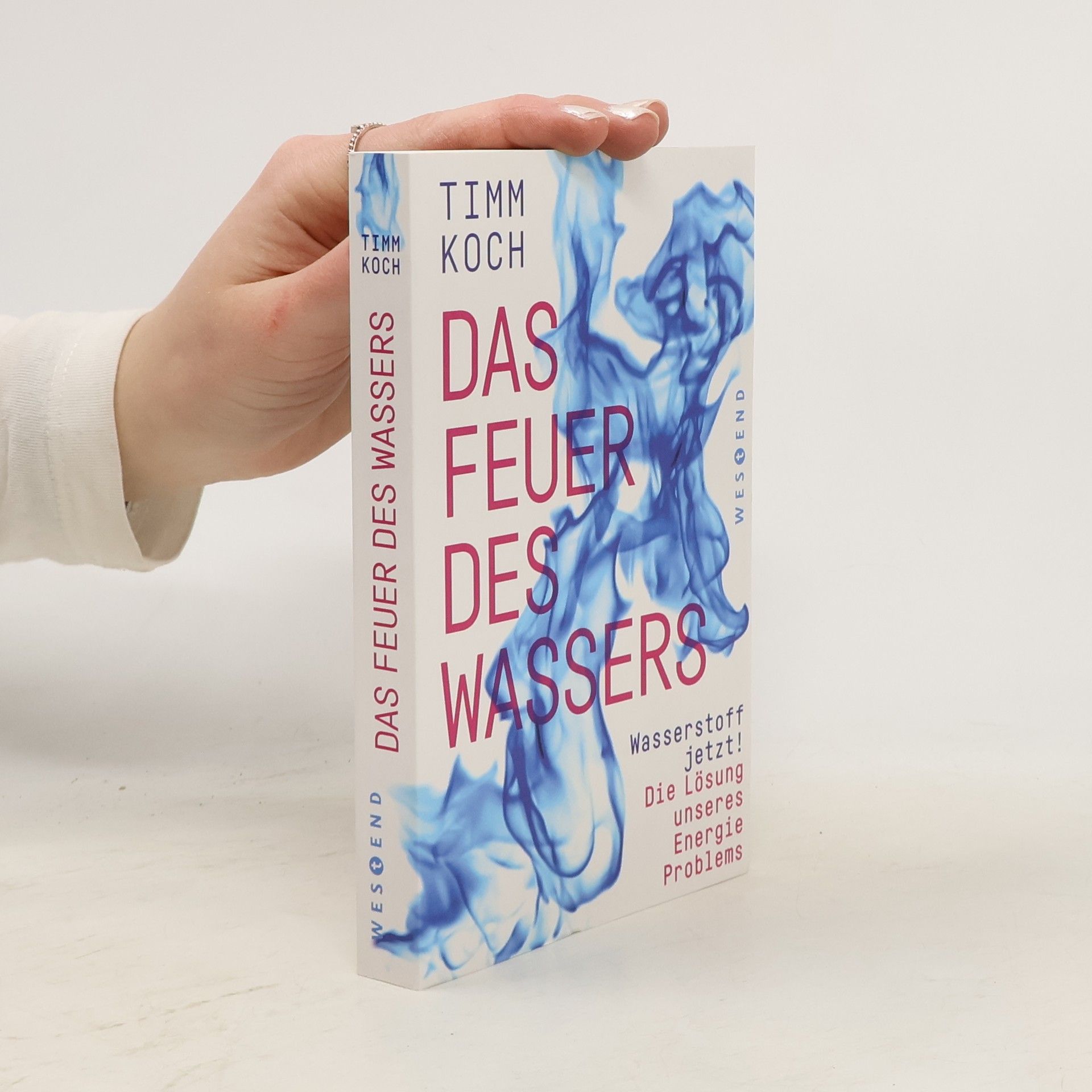 Timm Koch Das Feuer des Wassers