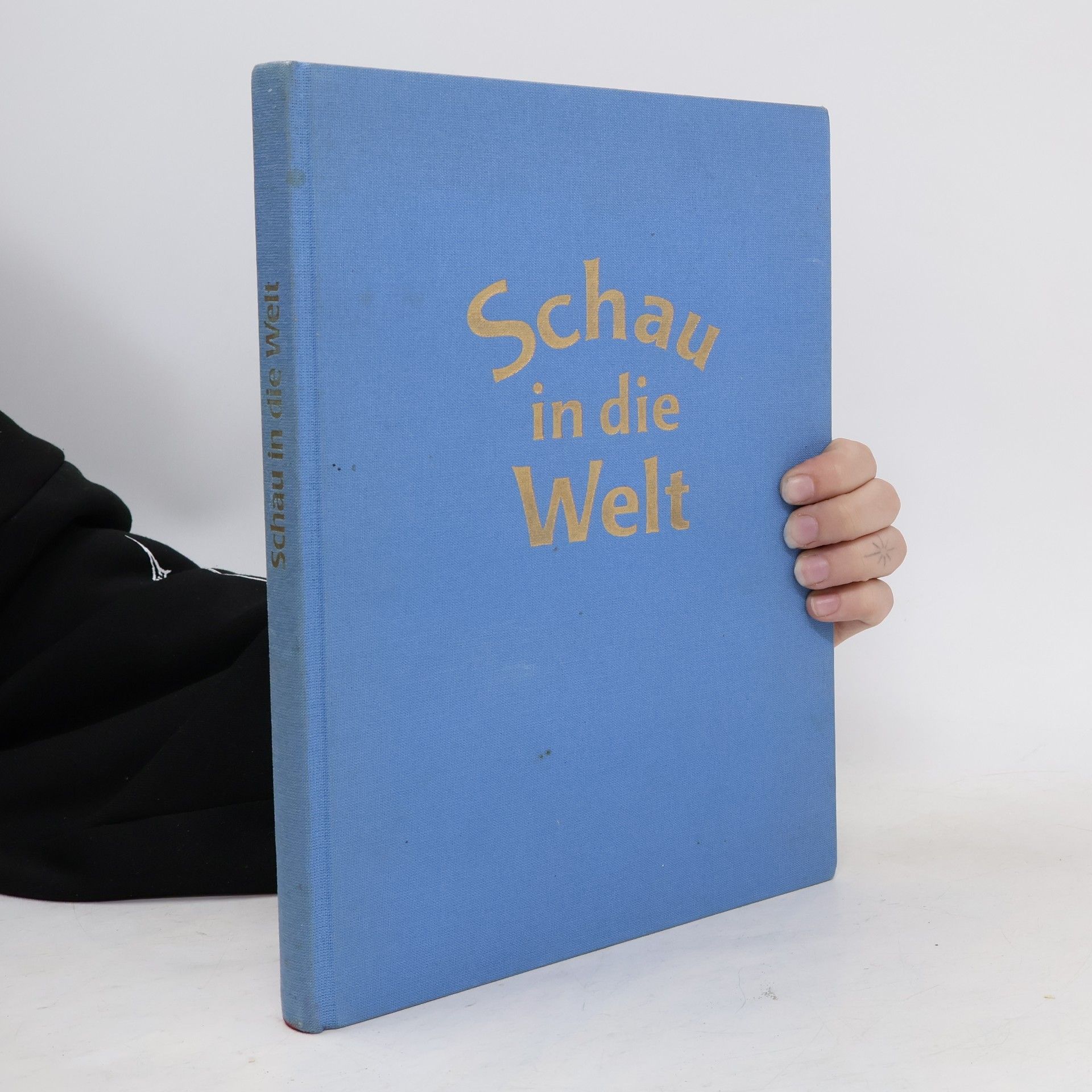 Peter Guttenhöfer Schau in die Welt