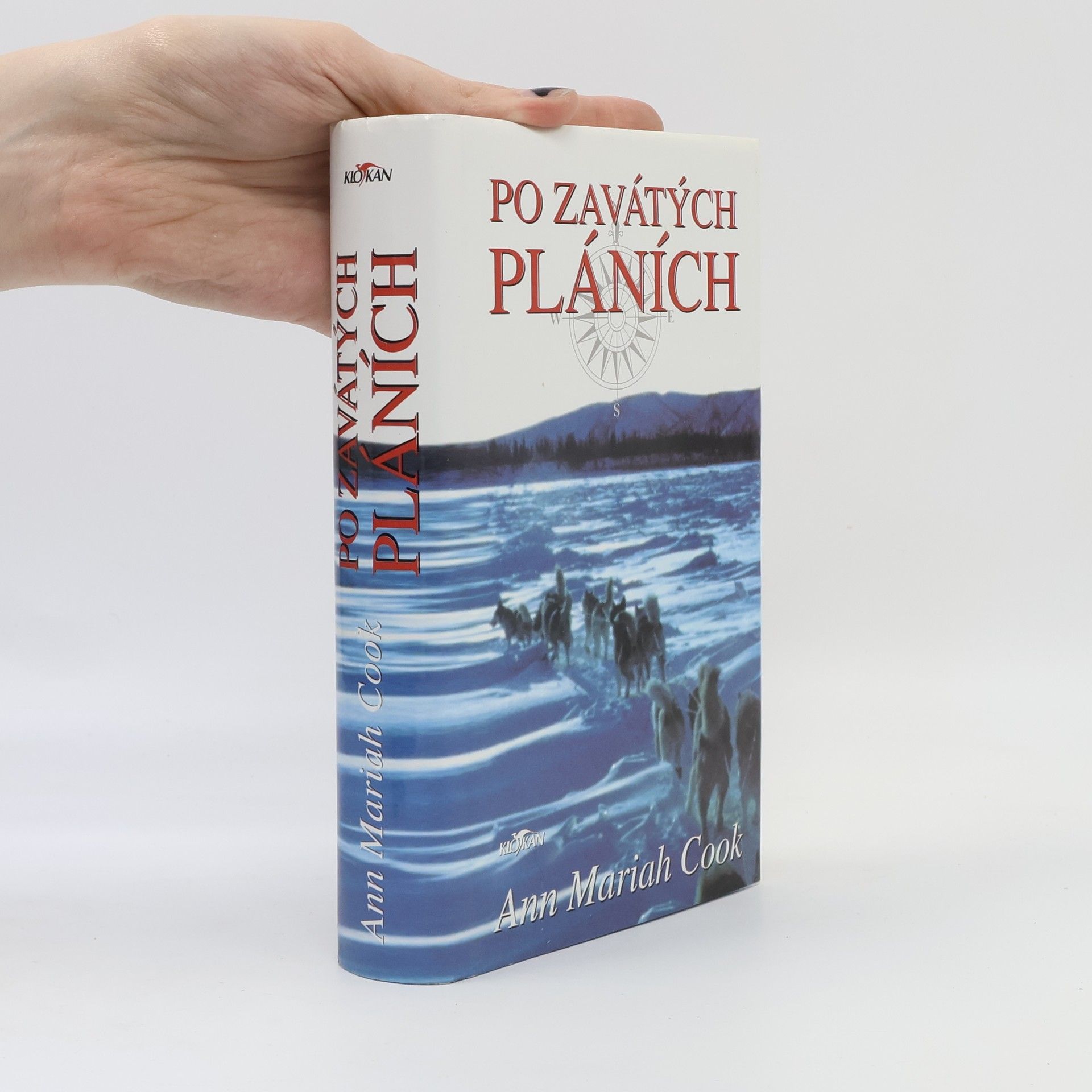 Ann Mariah Cook Po zavátých pláních