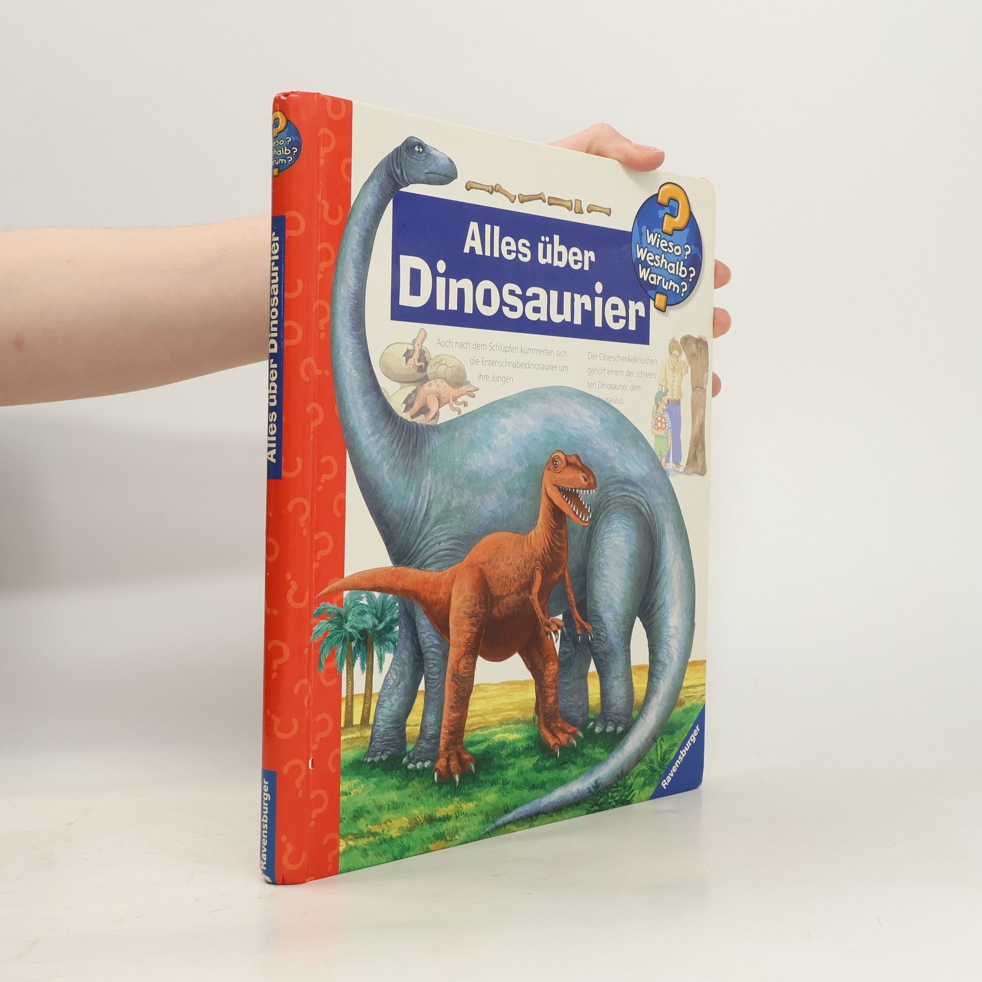 Patricia Mennen Alles über Dinosaurier