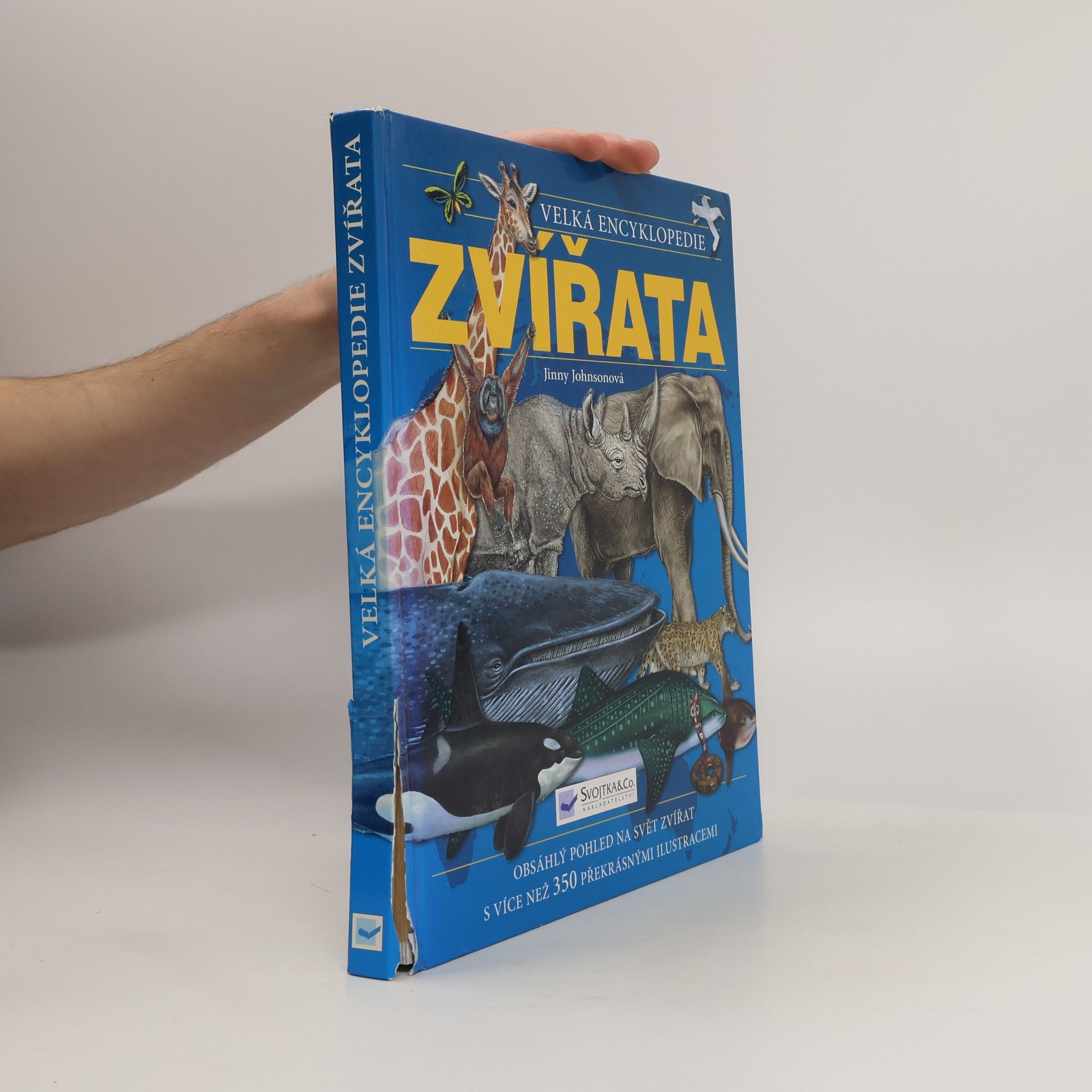 Jinny Johnson Zvířata