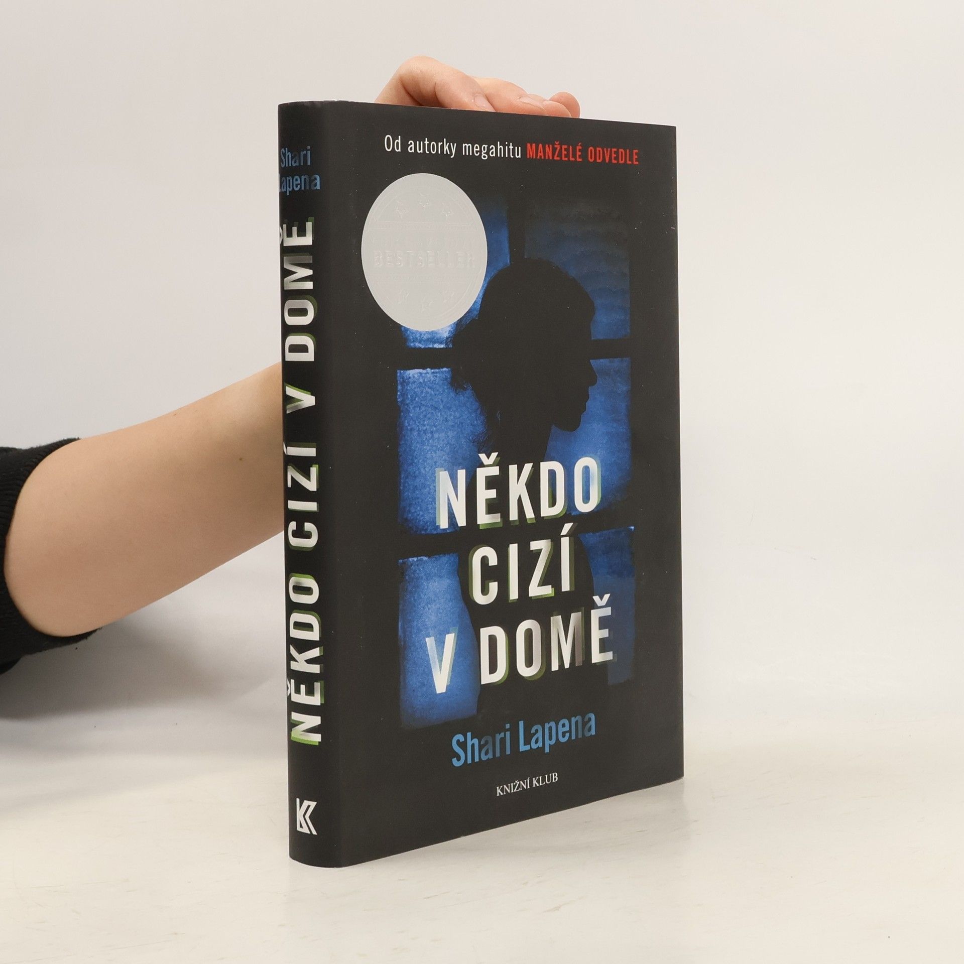 Shari Lapenová Někdo cizí v domě