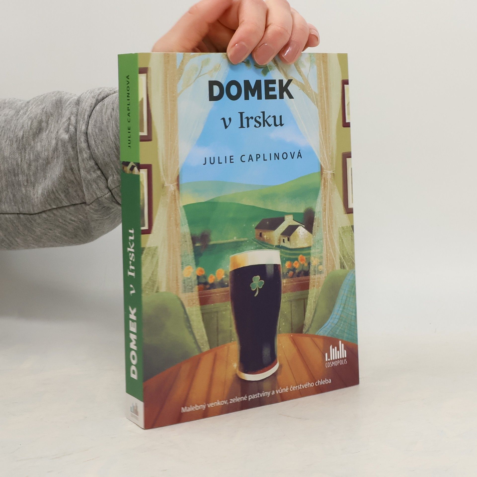 Julie Caplin Domek v Irsku