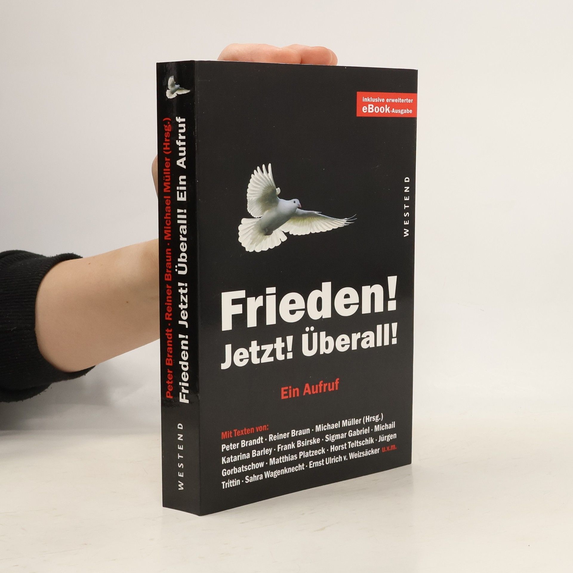 Peter Brandt Frieden! Jetzt! Überall!