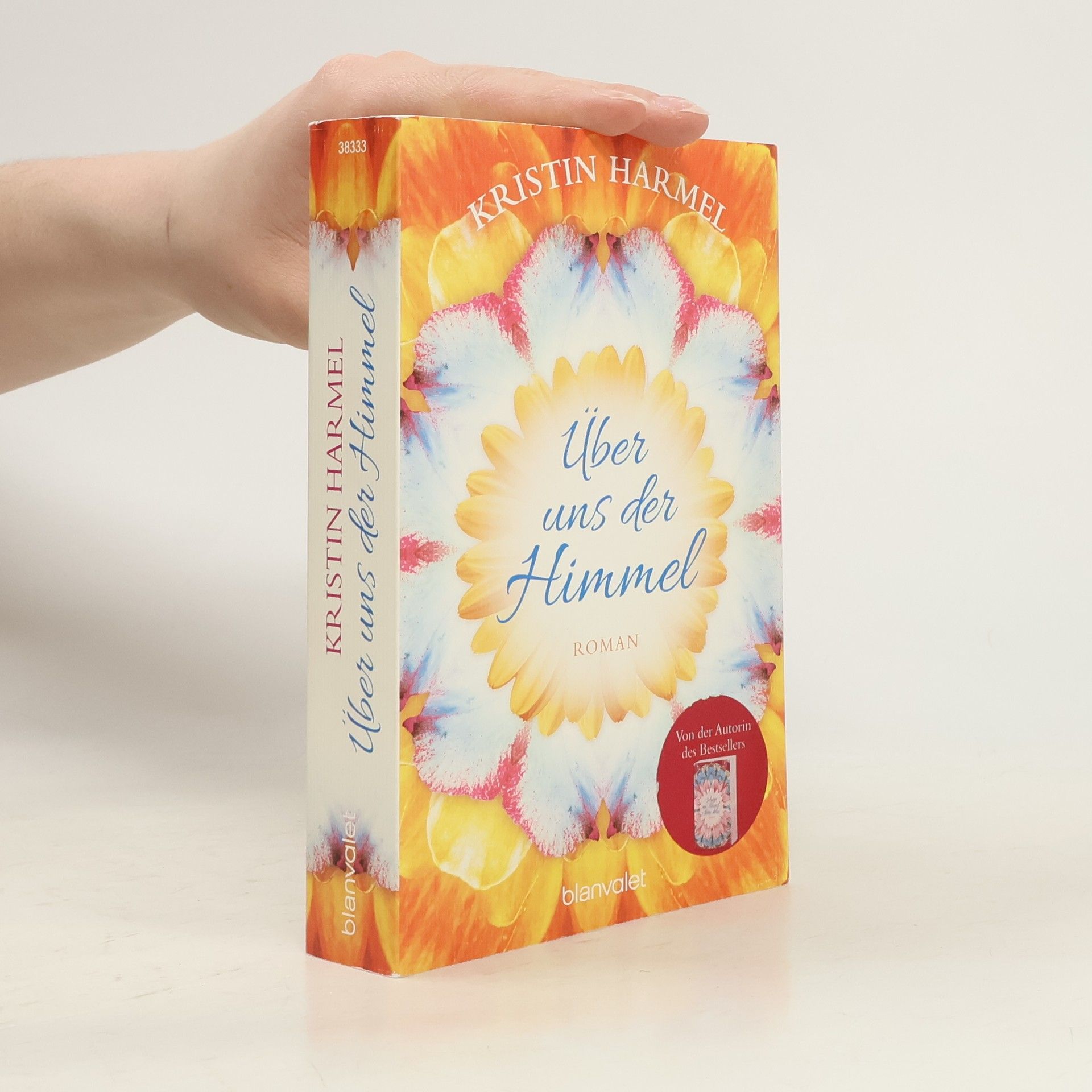 Kristin Harmel Über uns der Himmel