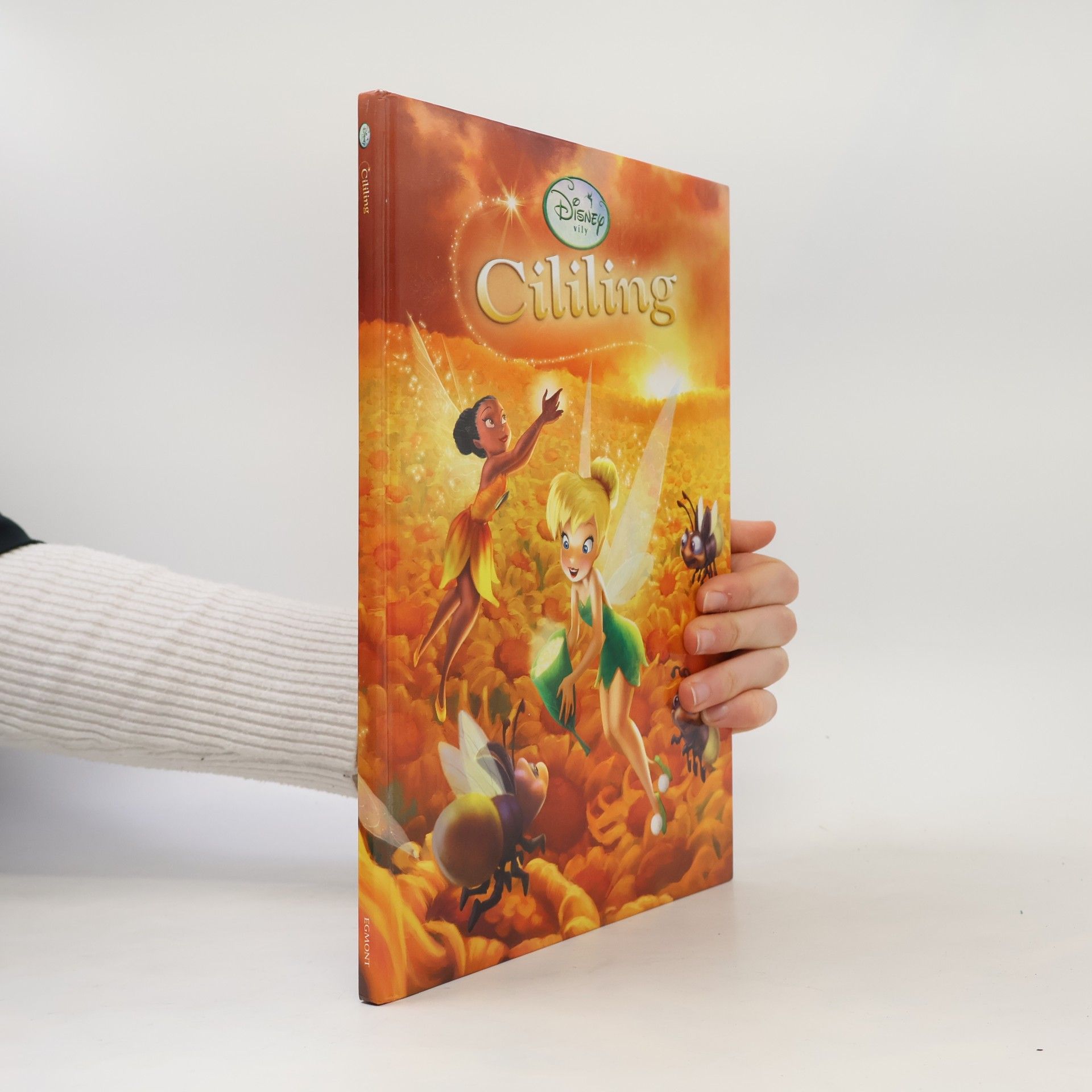 Elle D. Risco Cililing