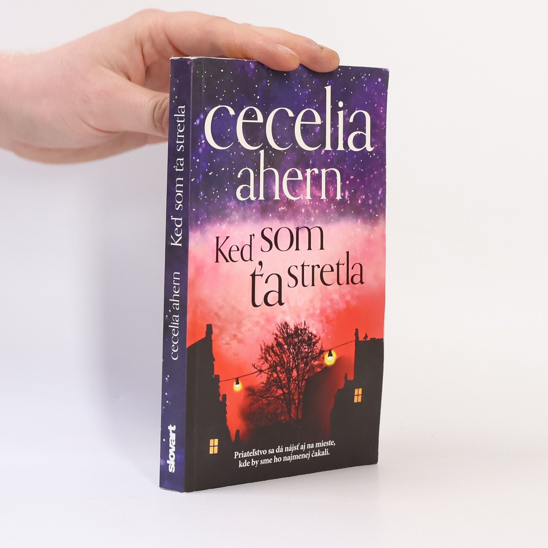 Cecelia Ahern Keď som Ťa stretla