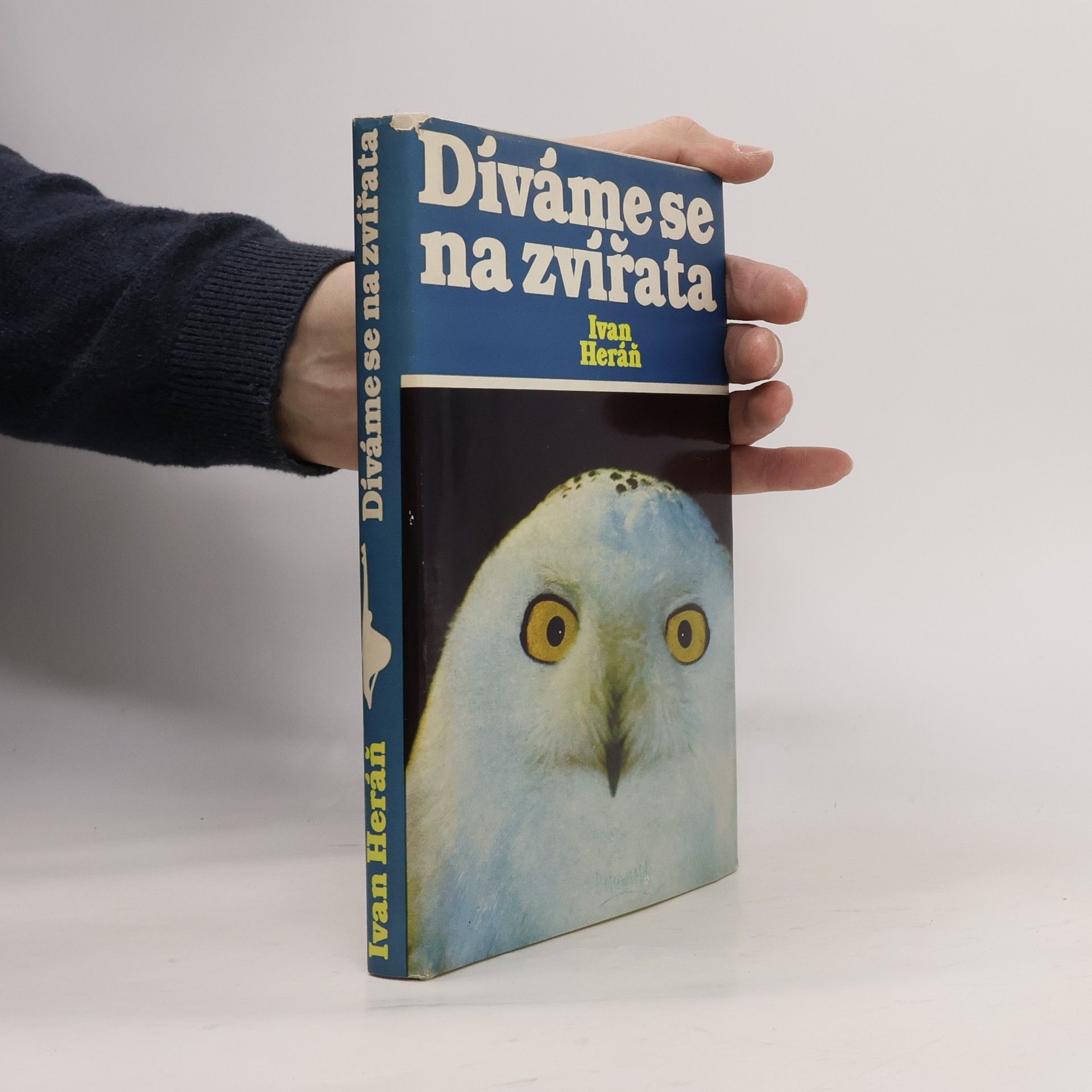 Díváme se na zvířata