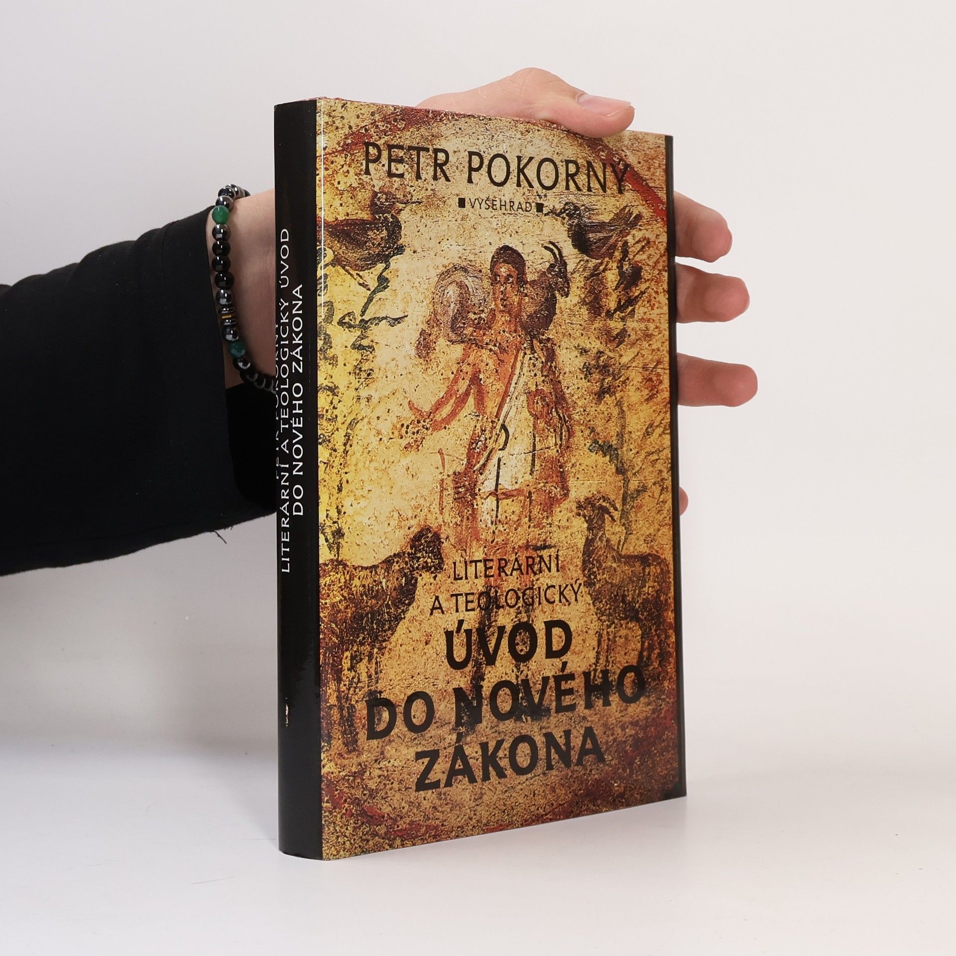 Petr Pokorný Literární a teologický úvod do Nového zákona