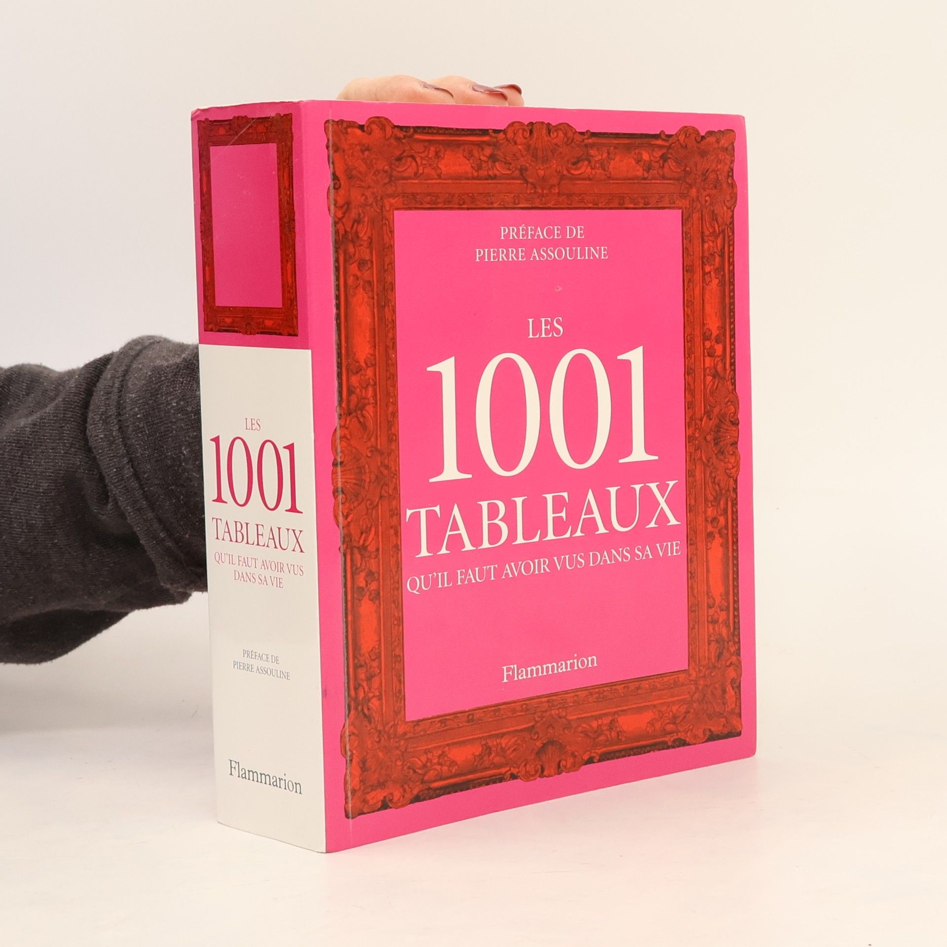 Stephen Farthing Les 1001 tableaux qu'il faut avoir vus dans sa vie