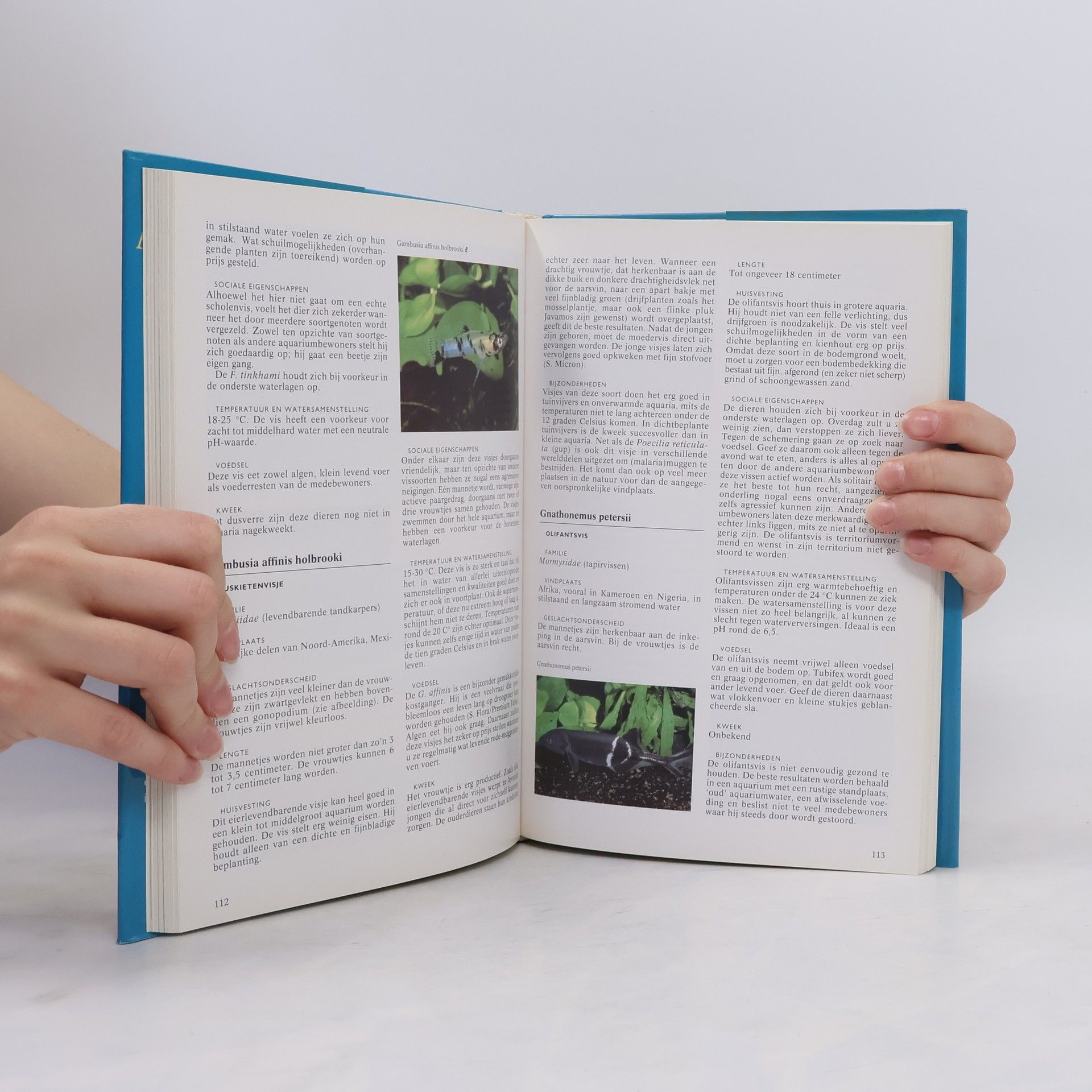 Esther Verhoef Tropische aquariumvissen encyclopedie