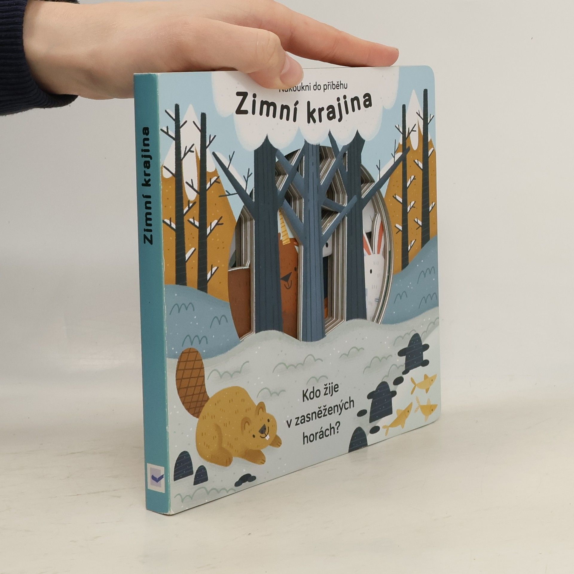 Anne Passchier Zimní krajina. Kdo žije v zasněžených horách?