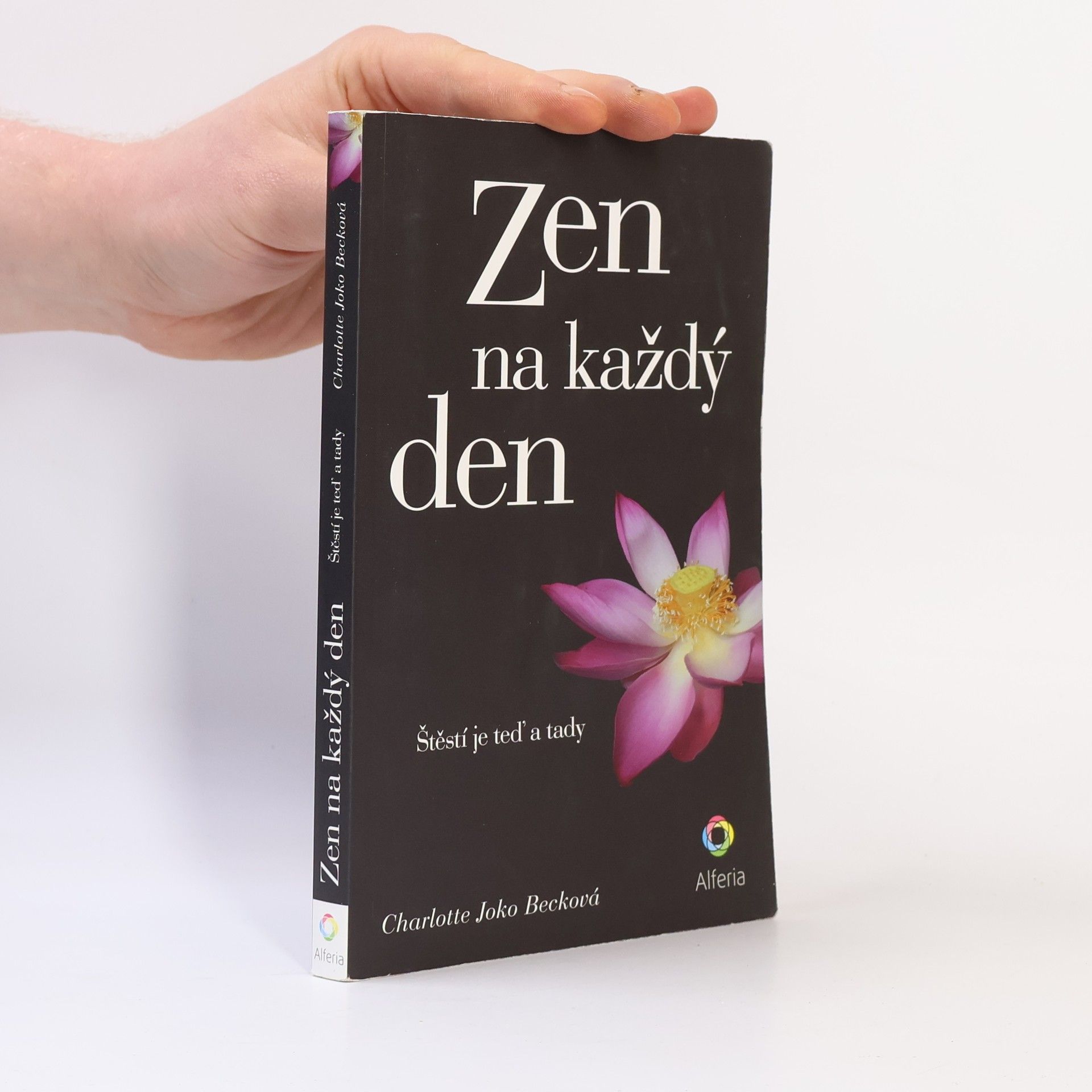 Charlotte Joko Beck Zen na každý den