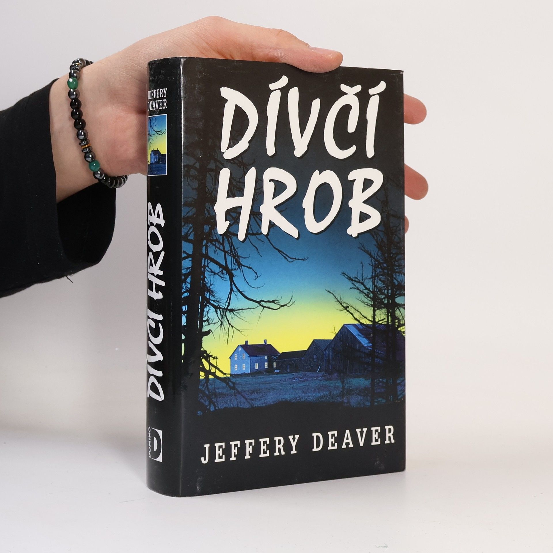Jeffery Deaver Dívčí hrob