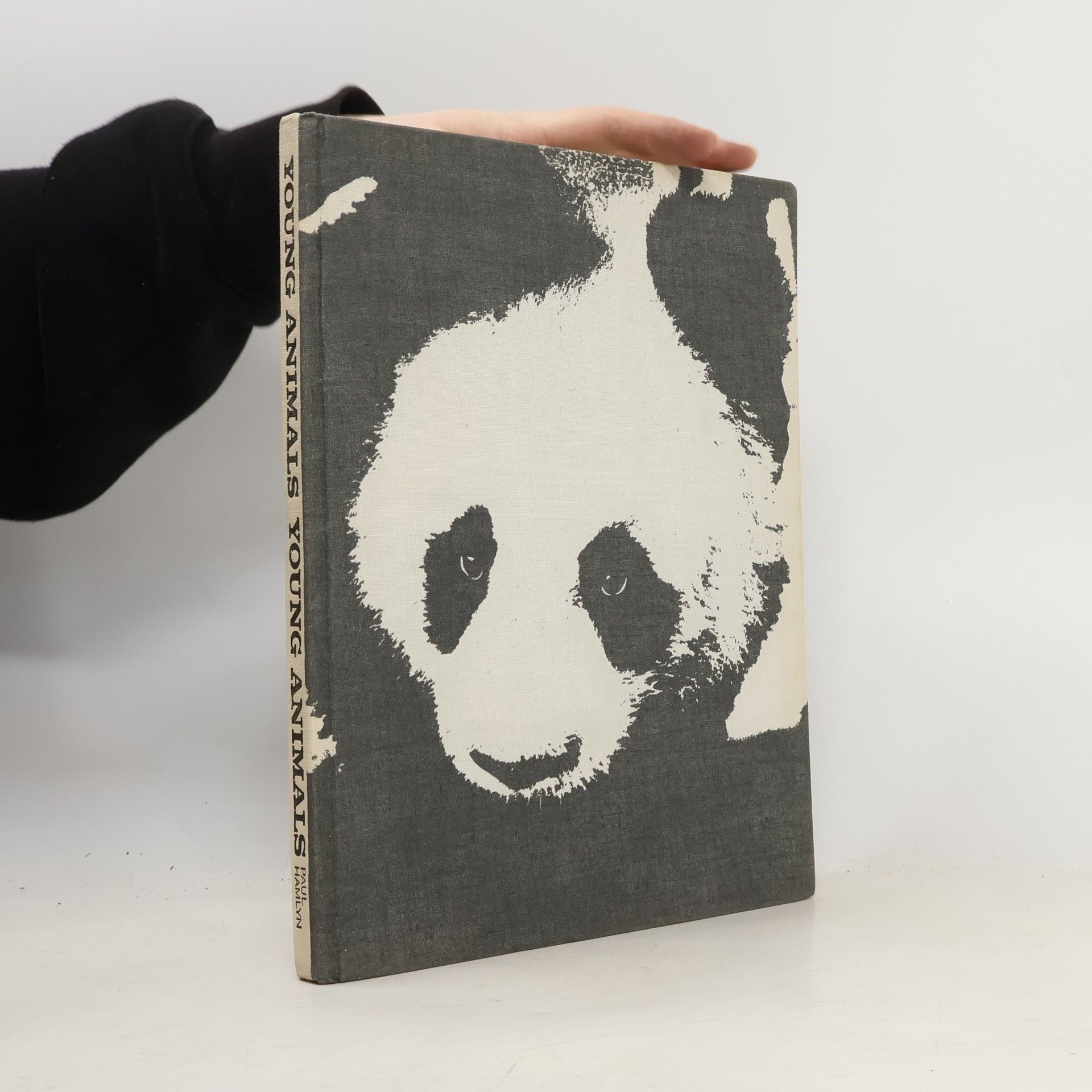 Maurice Burton Young Animals