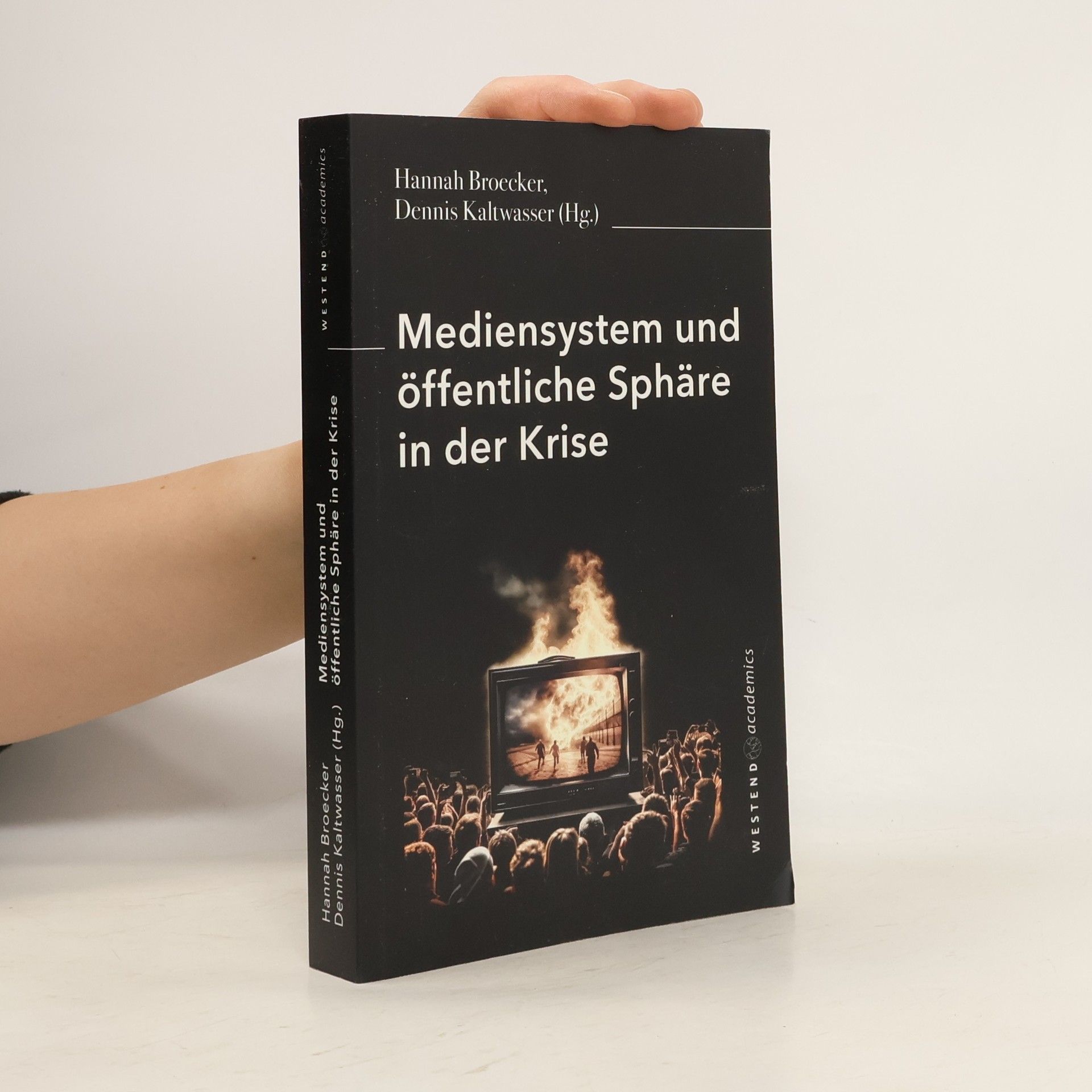 Hannah Broecker Mediensystem und öffentliche Sphäre in der Krise