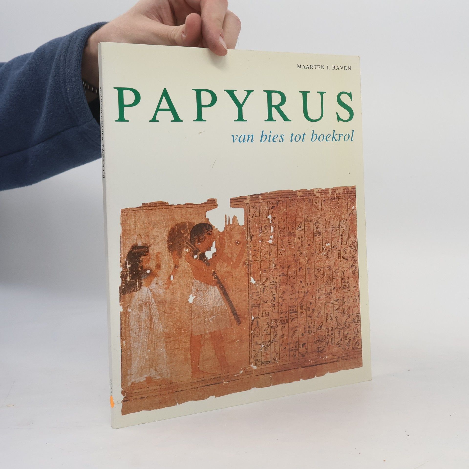 Maarten J. Raven Papyrus