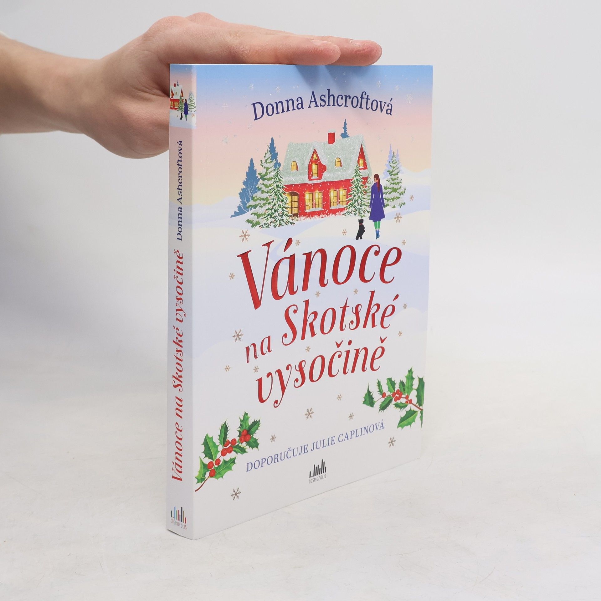 Donna Ashcroft Vánoce na Skotské vysočině