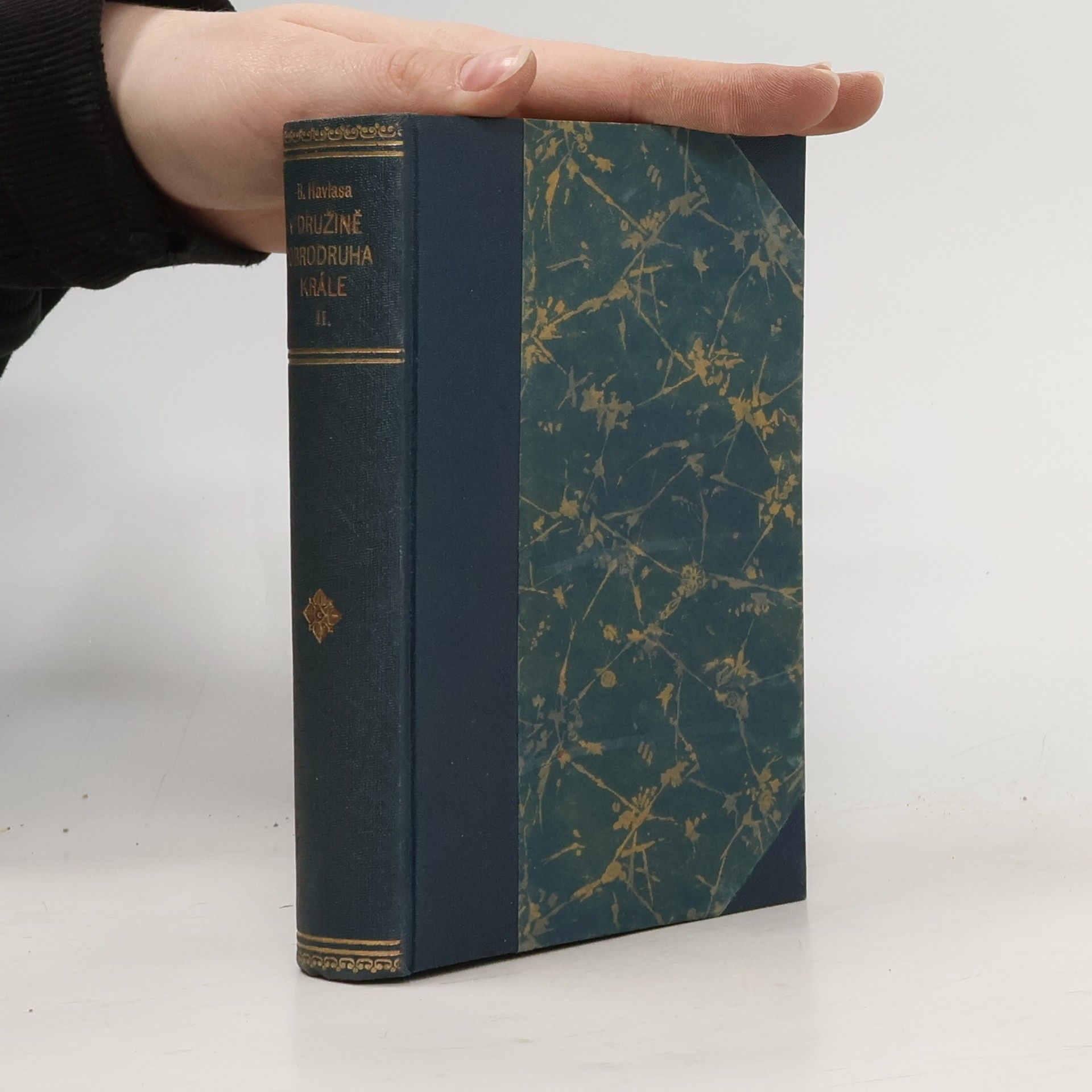 V družině dobrodruha krále II.