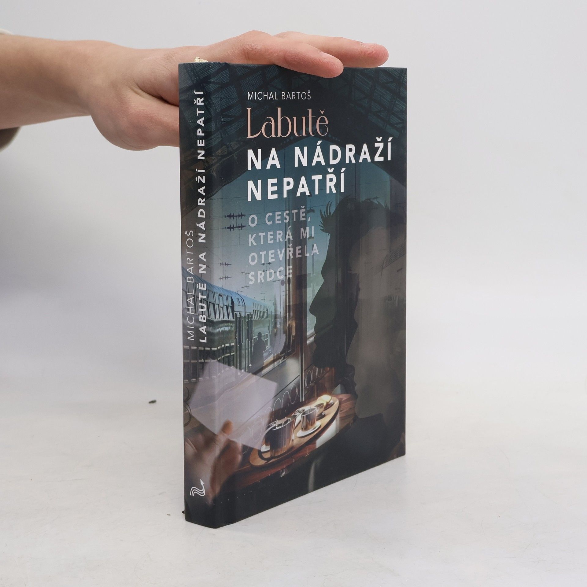 Labutě na nádraží nepatří