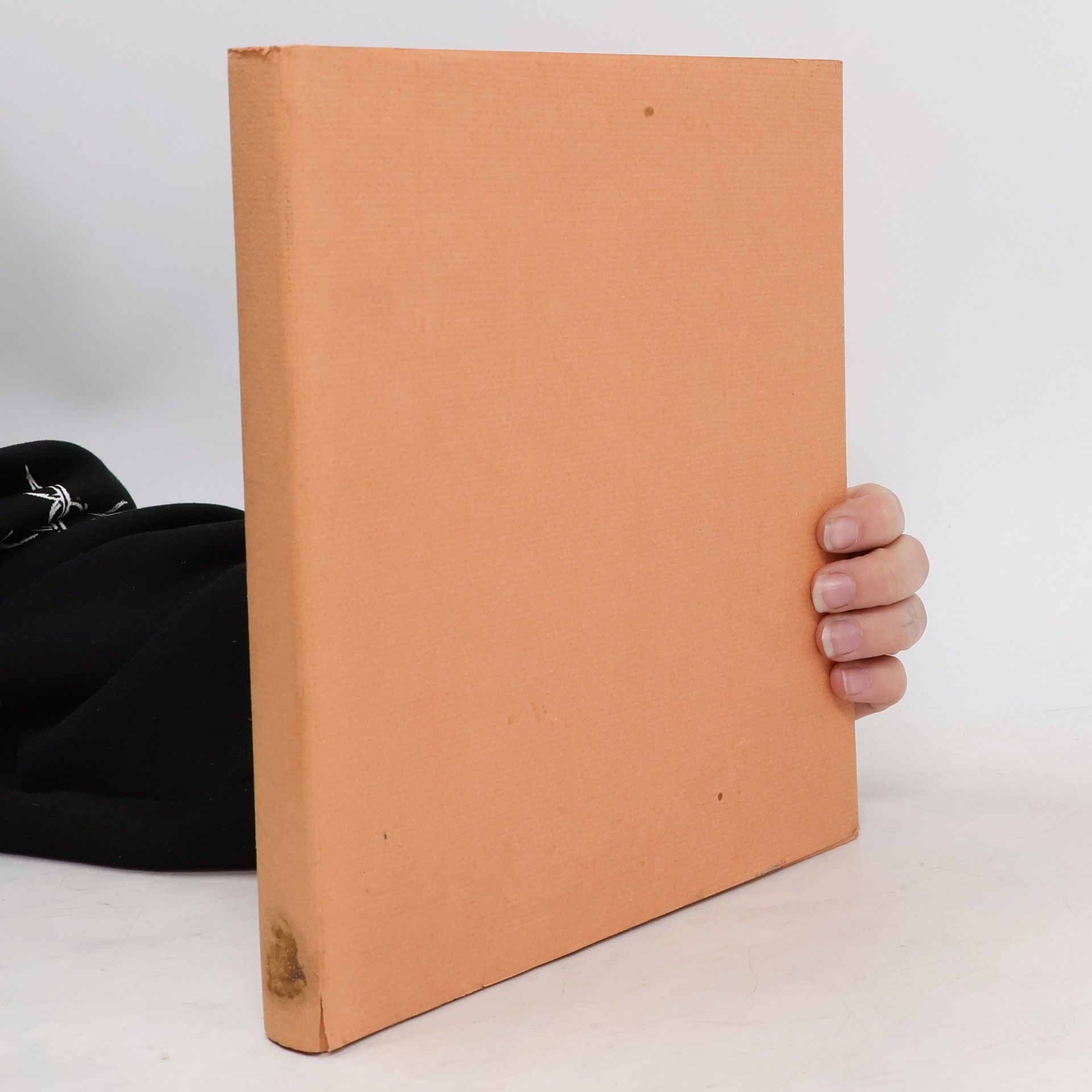 Gerhard Ulrich Wiener Skizzen geschrieben und gezeichnet