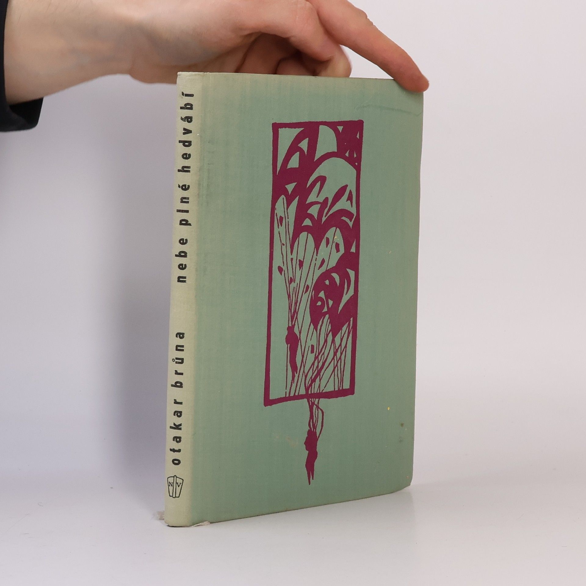 Otakar Brůna Nebe plné hedvábí