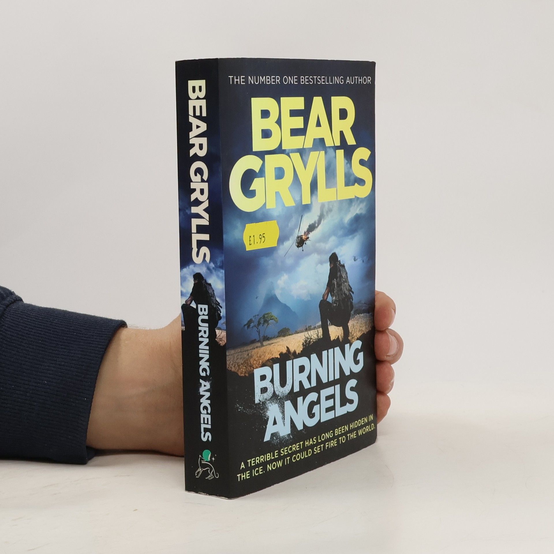 Bear Grylls Burning angels