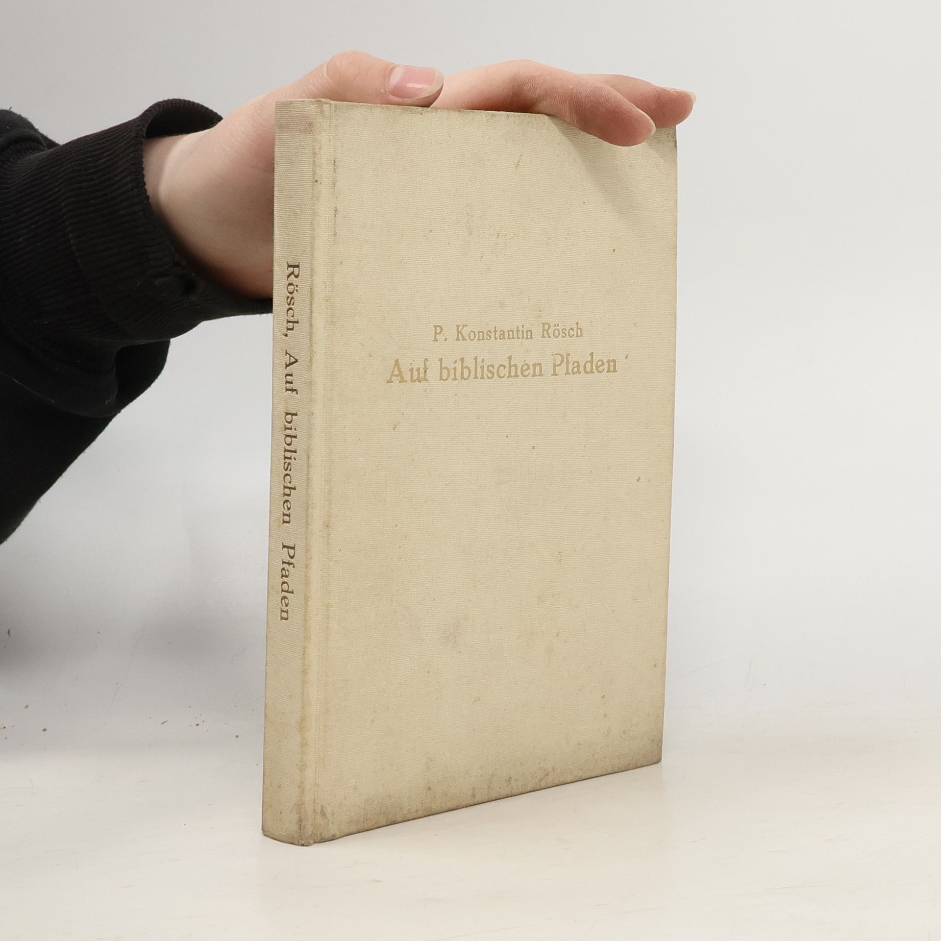 P. Konstantin Röjh O.M.Cap Auf biblischen Pfaden