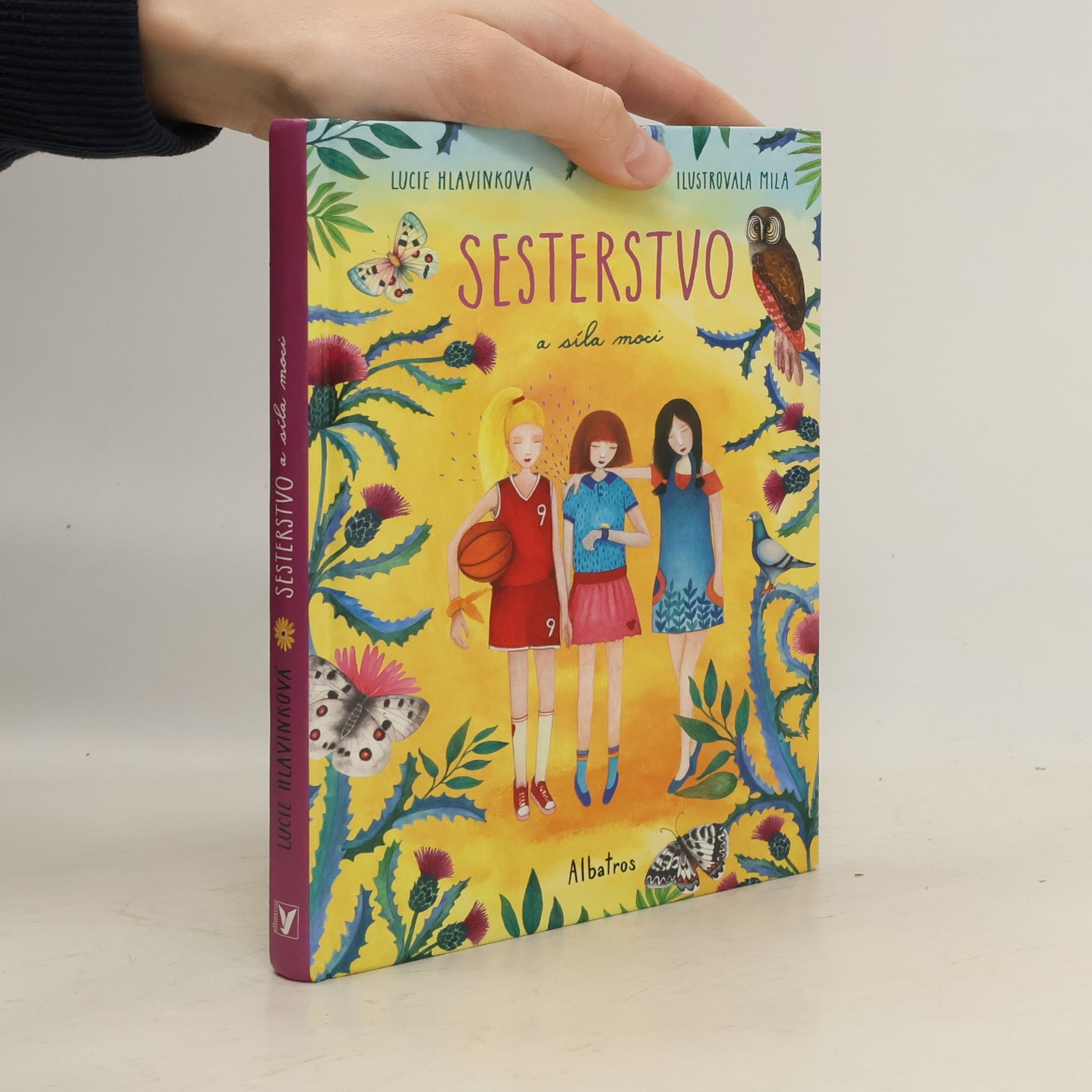 Sesterstvo a síla moci