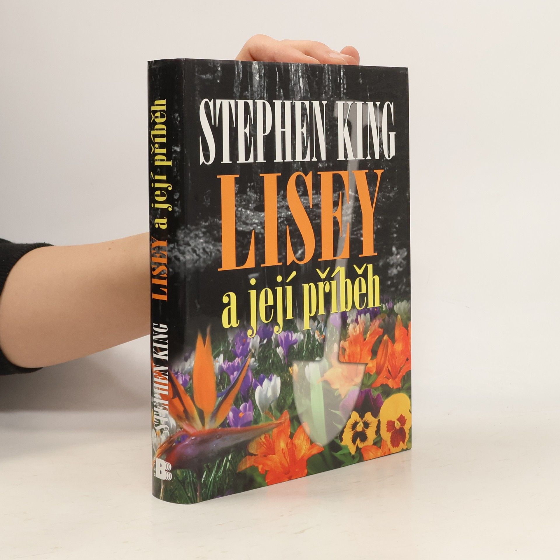 Stephen King Lisey a její příběh