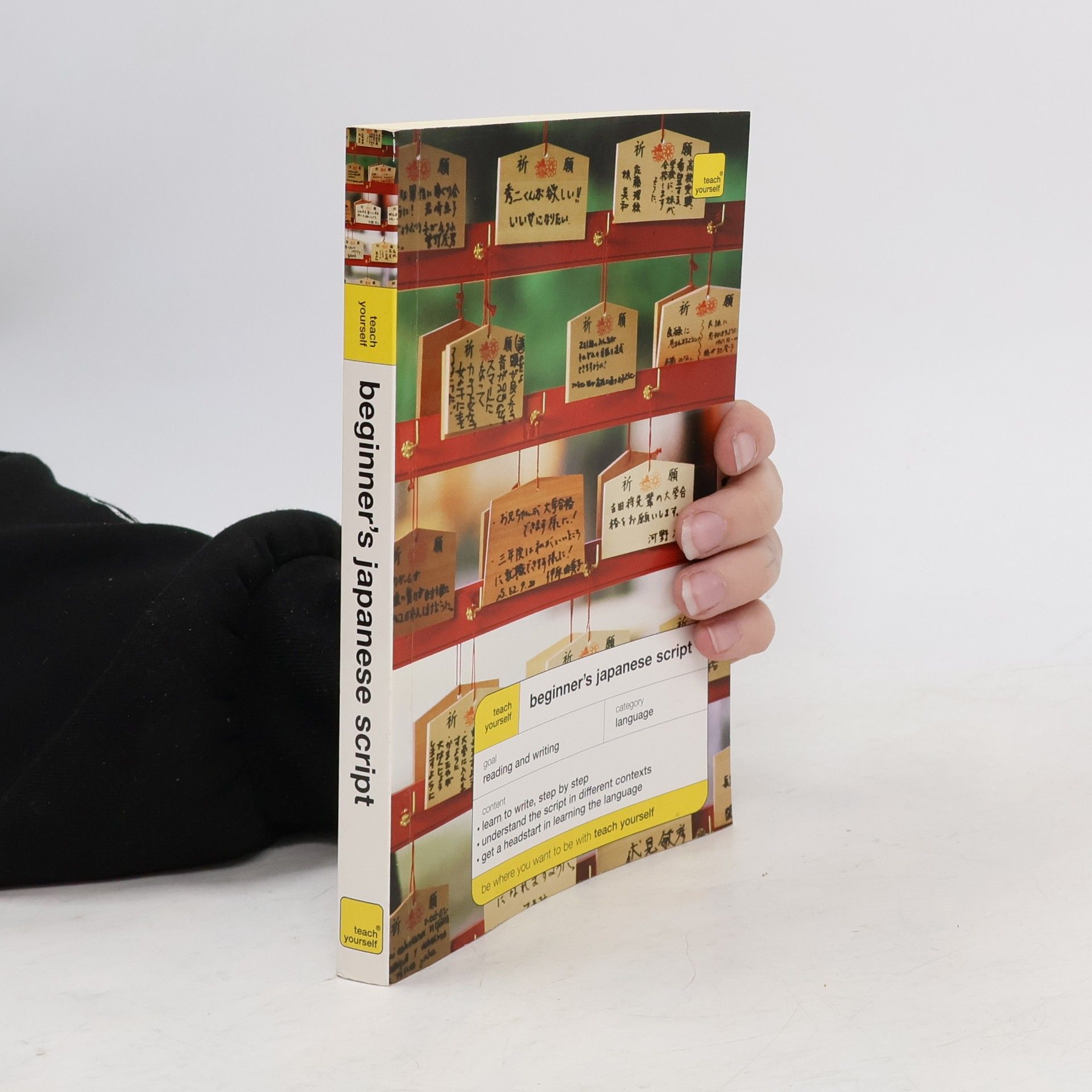 Helen Gilhooly Beginner's Japanese script