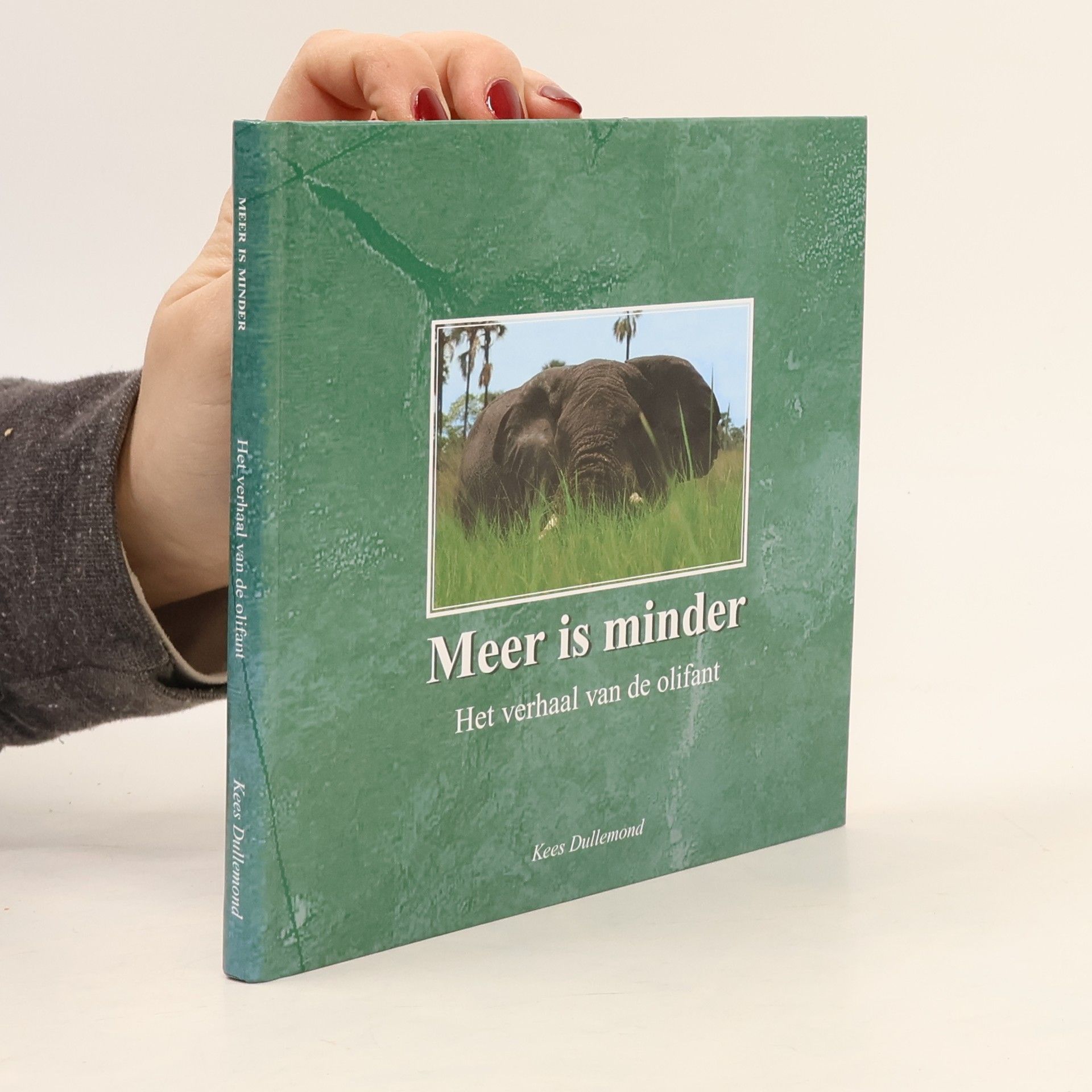 Kees Dullemond Meer is minder