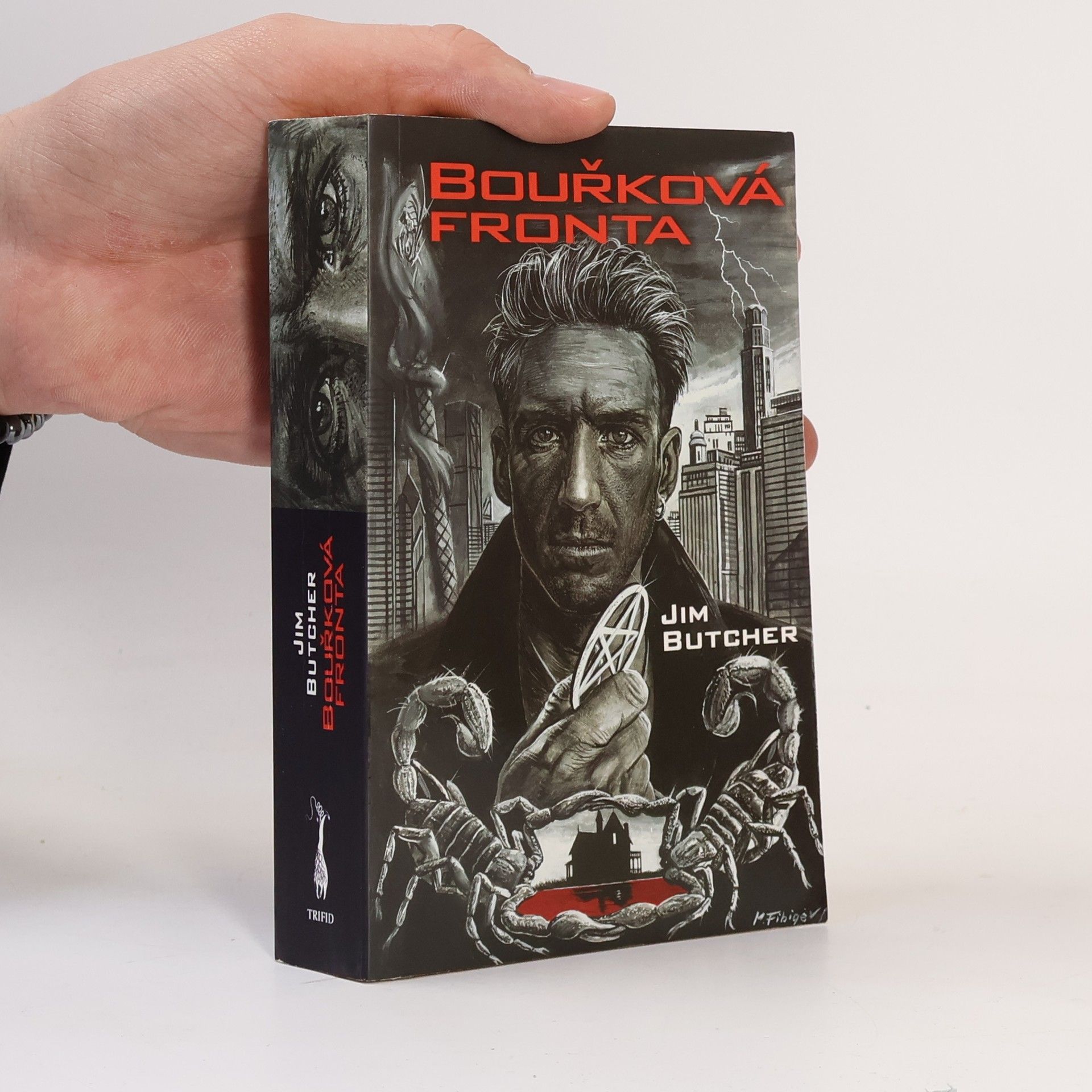 Jim Butcher Bouřková fronta