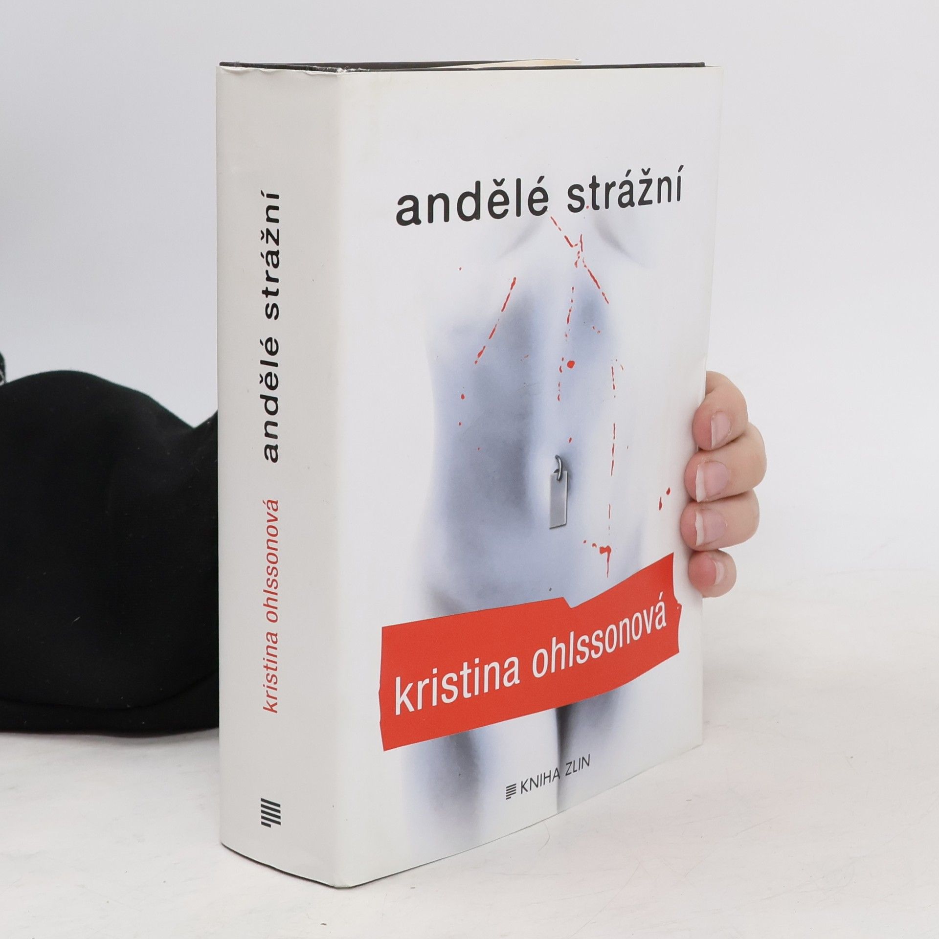 Kristina Ohlsson Andělé strážní